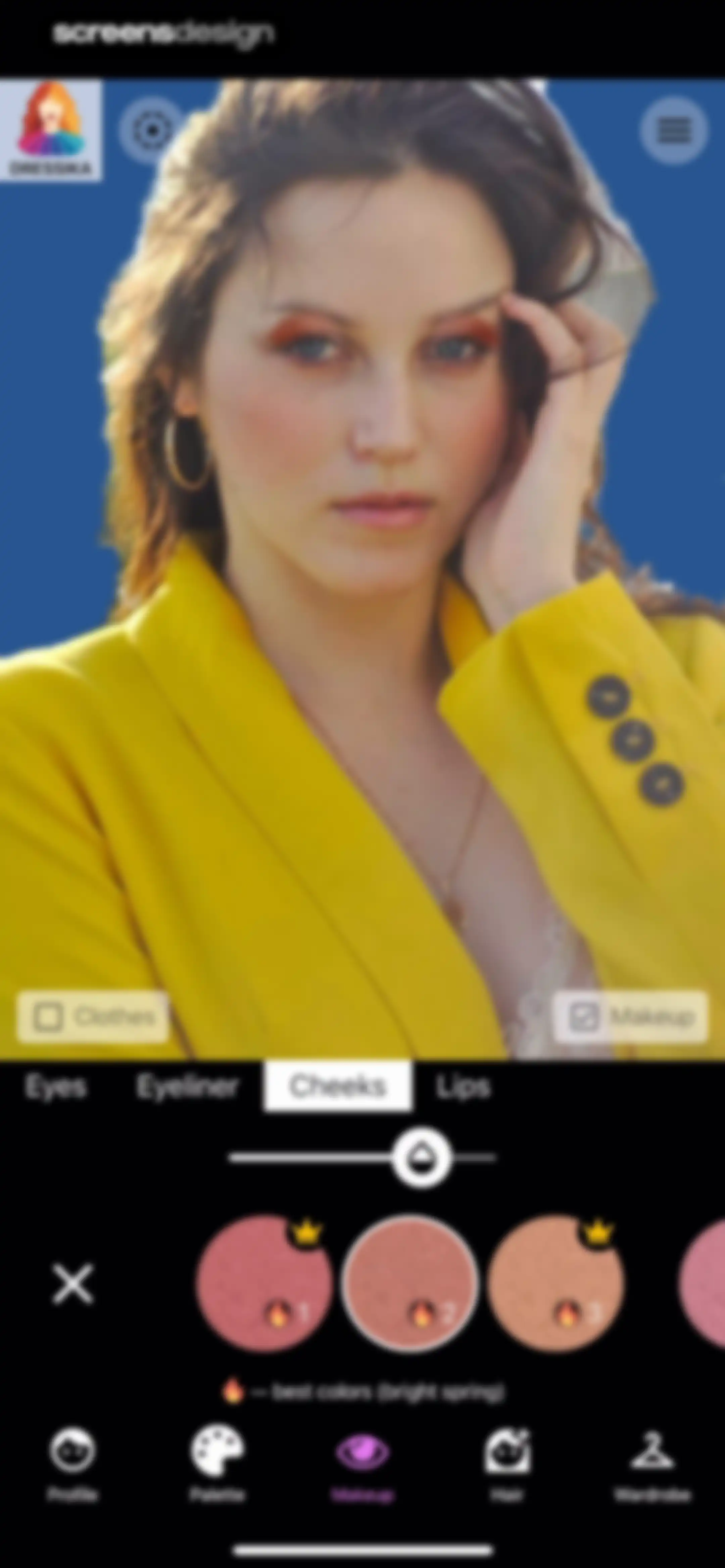 Color Analysis - Dressika screen 53
