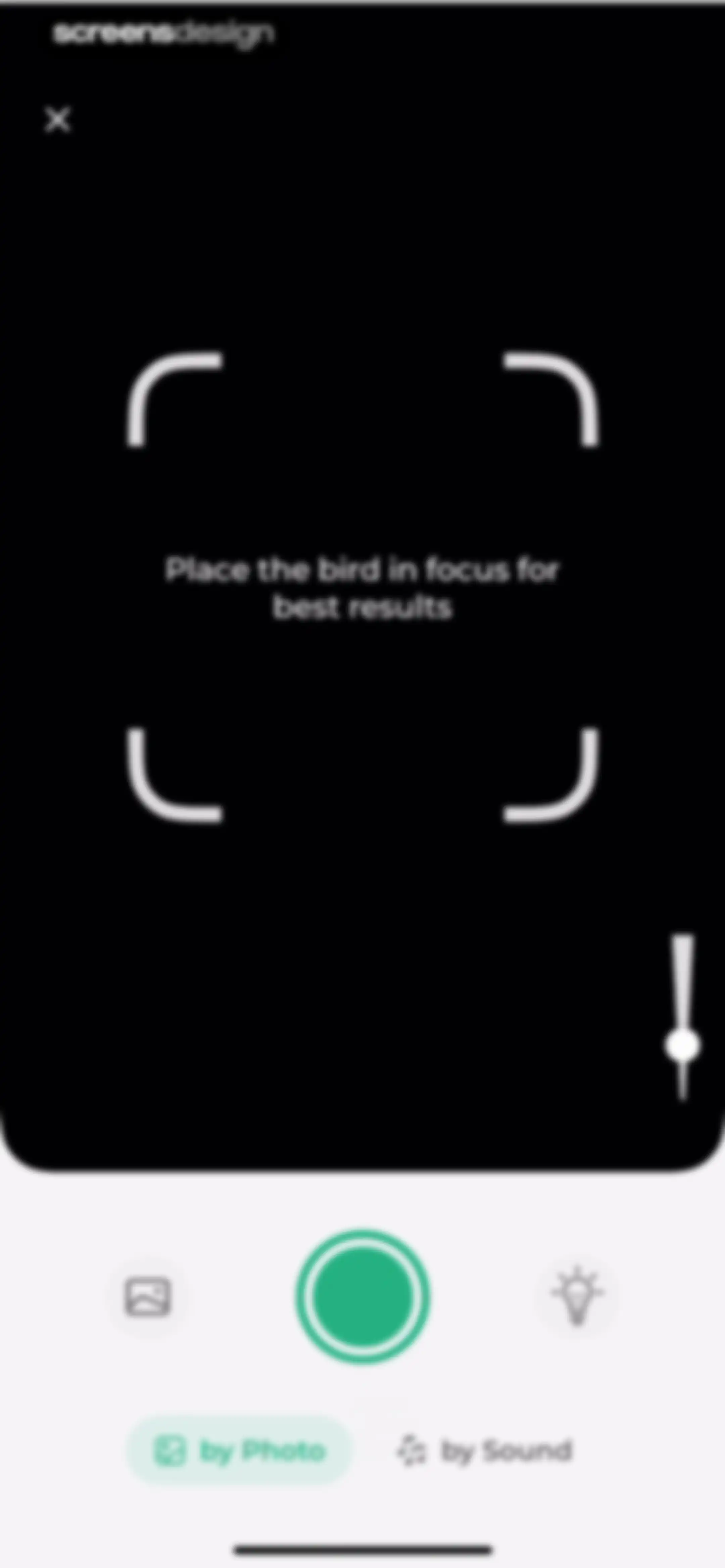 Bird Identifier: BirdScope screen 61