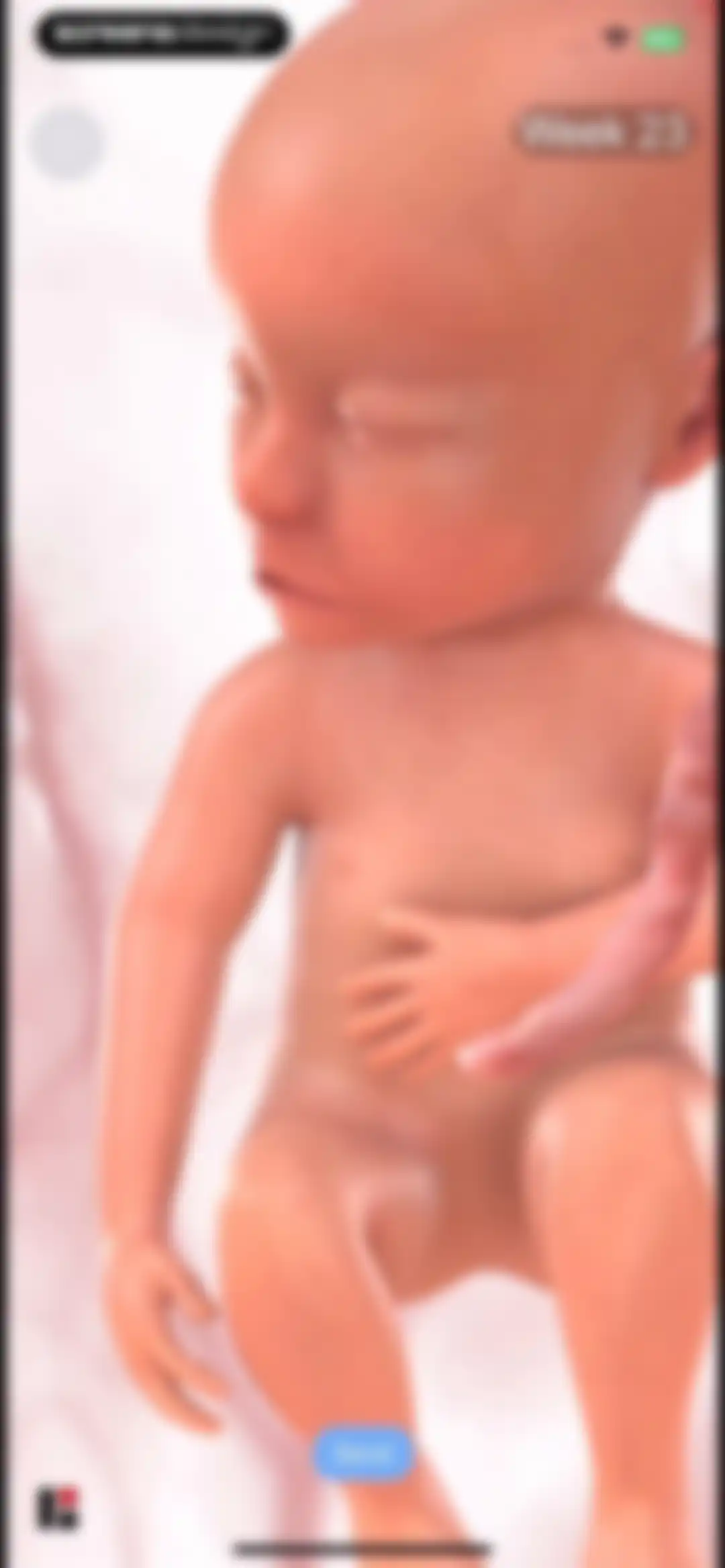 HiMommy: Ovulation & Pregnancy screen 33
