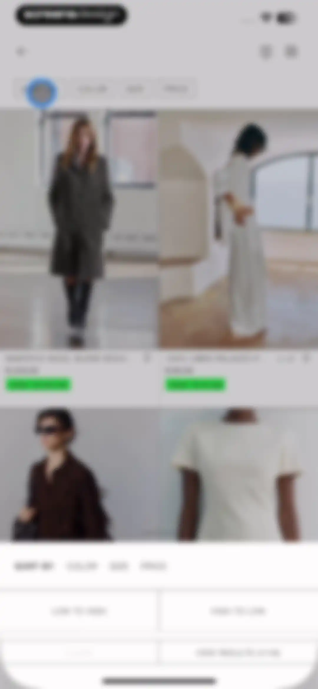 ZARA screen 21