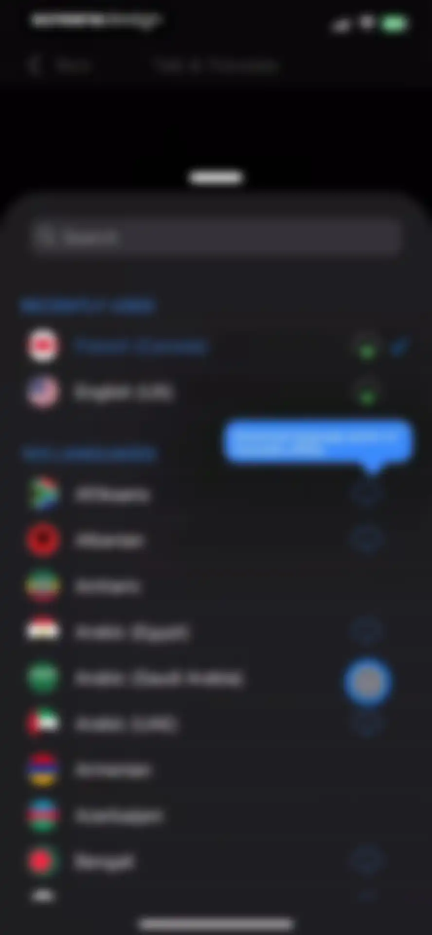 Talk & Translate AI Translator screen 22