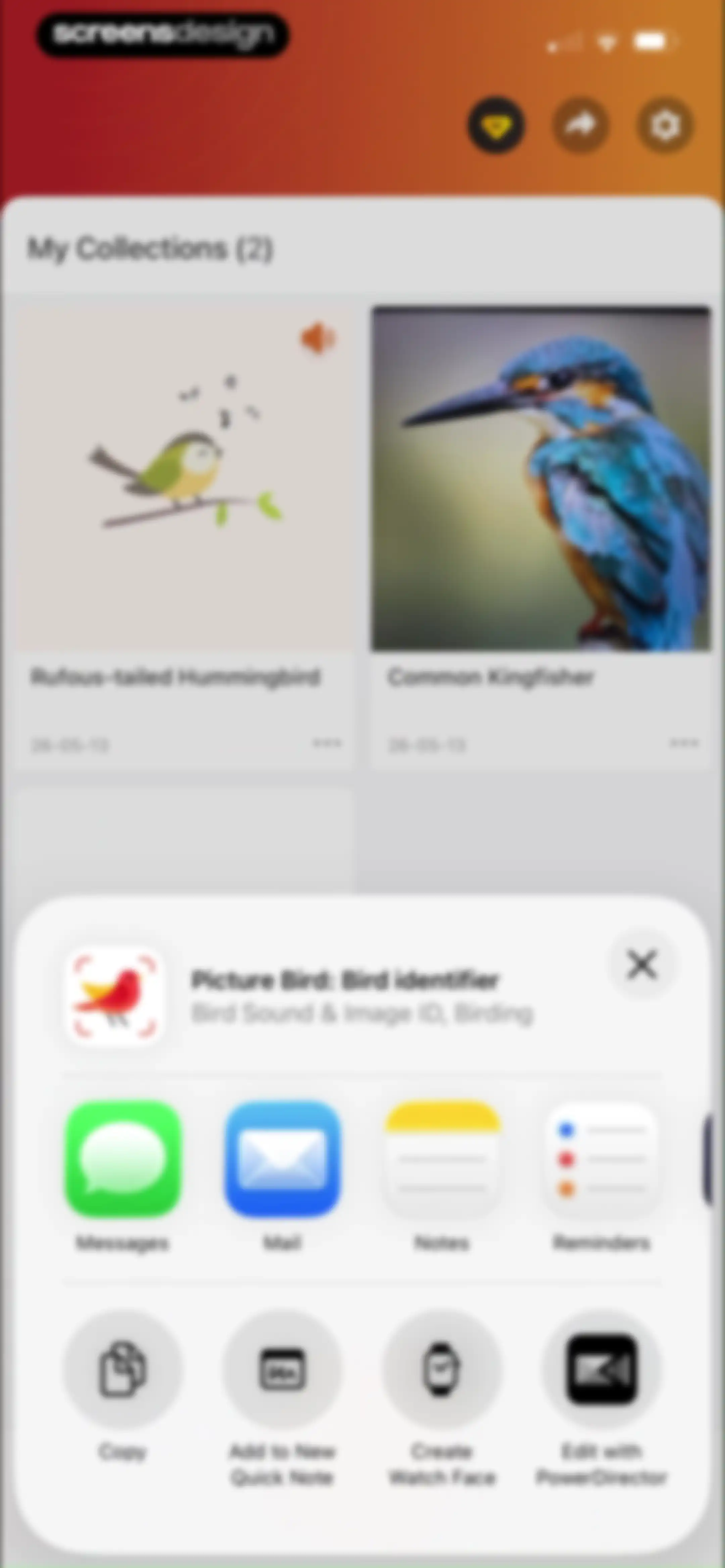 Picture Bird: Bird identifier screen 108