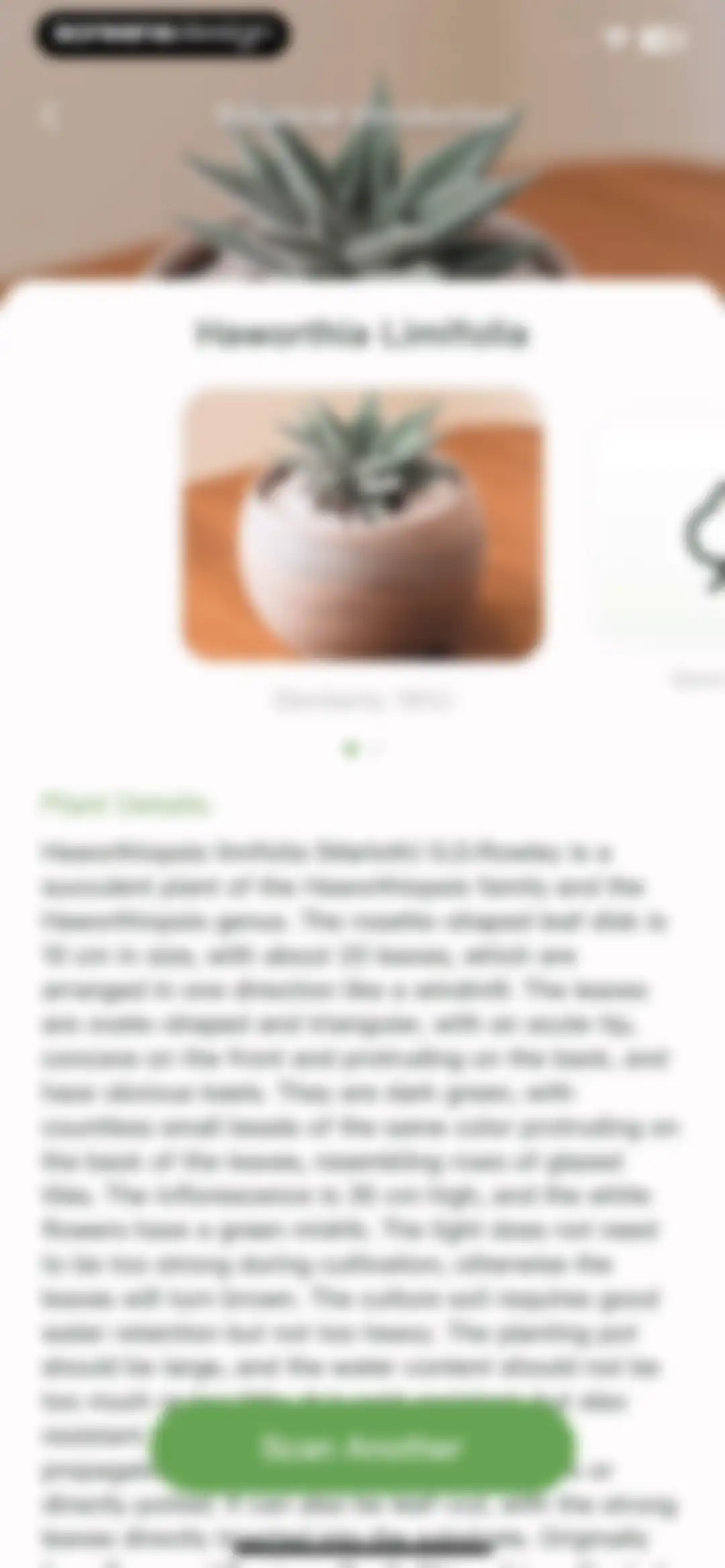 CamScanning: AI Measure & Scan screen 40