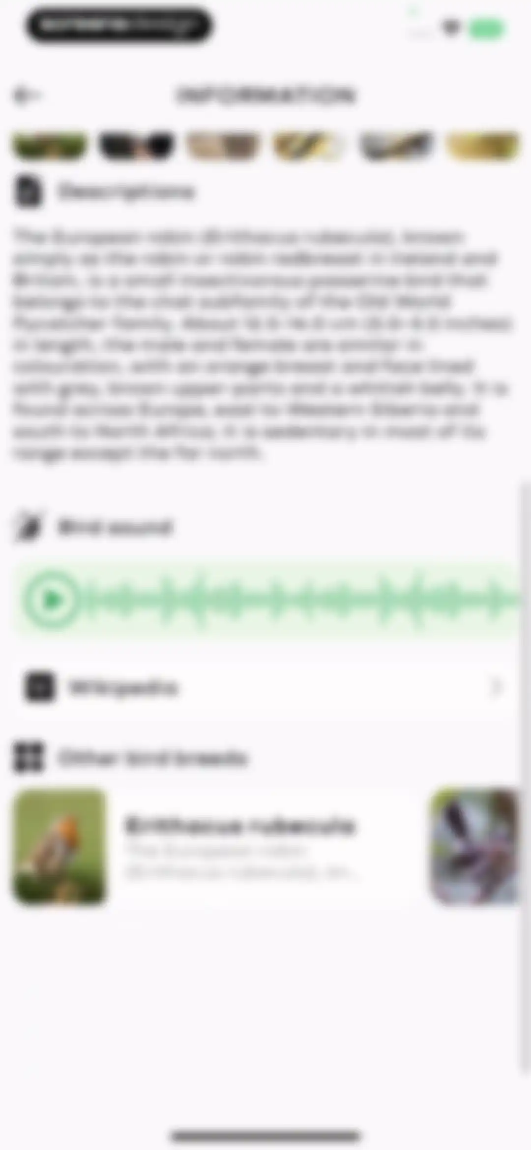 Bird Sounds Identifier Call ID screen 18