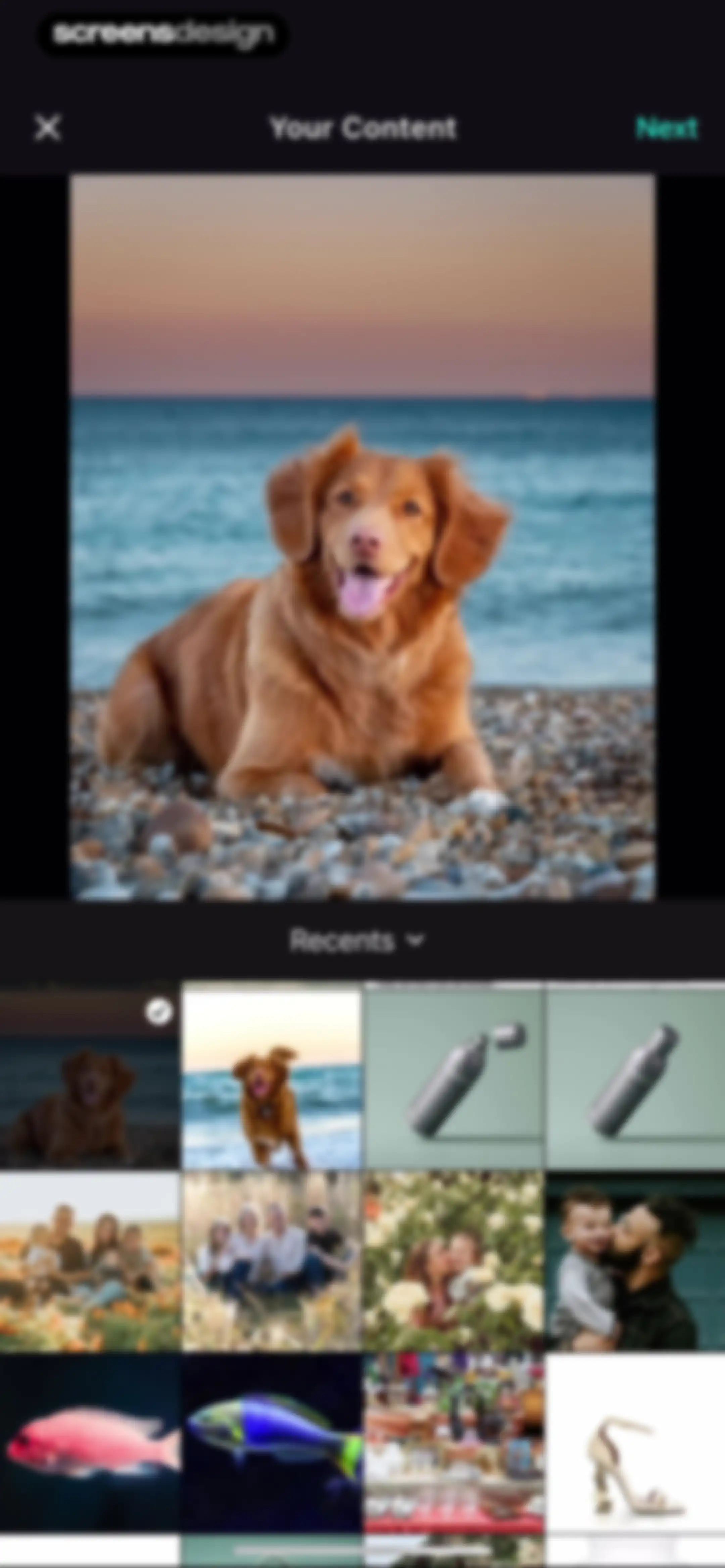Presets for Lightroom - FLTR screen 64