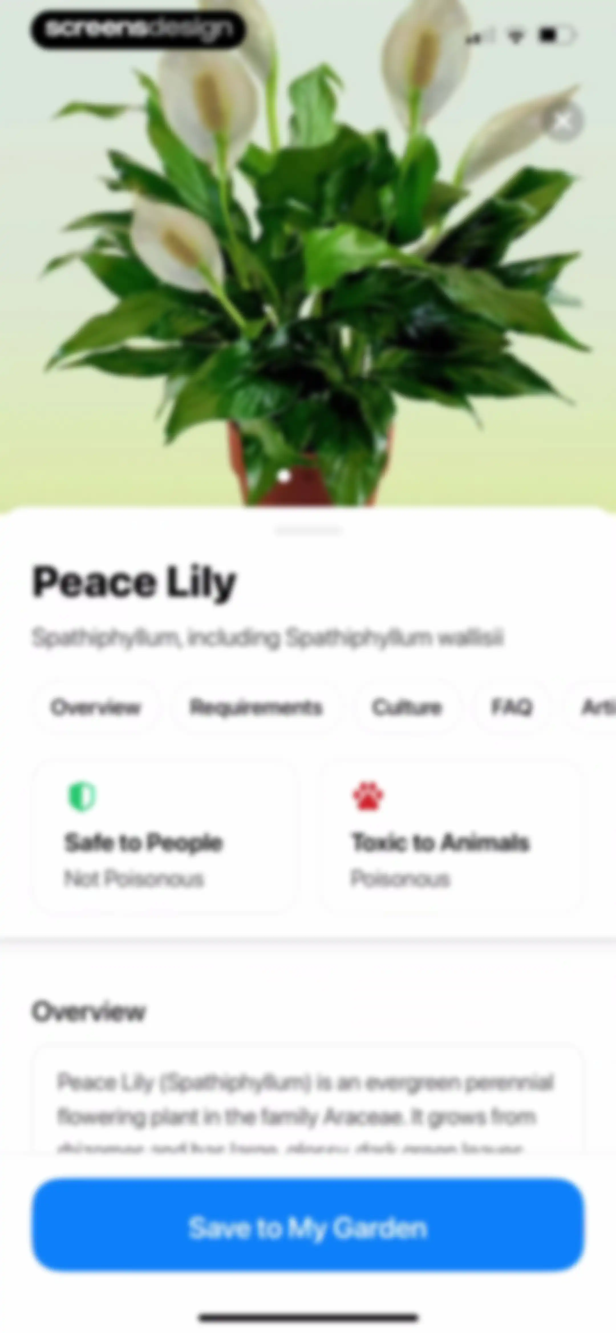 Plant App: Plant Identifier screen 98