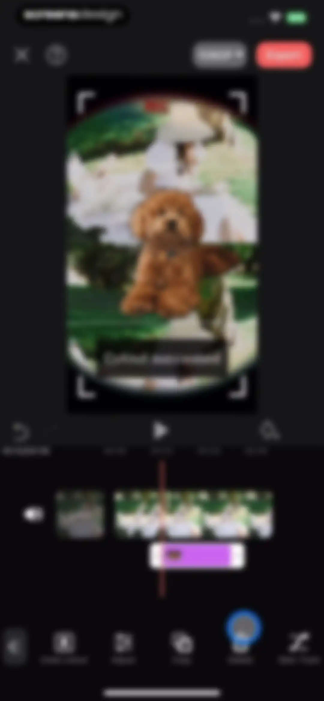 VideoShow AI Video Editor screen 58