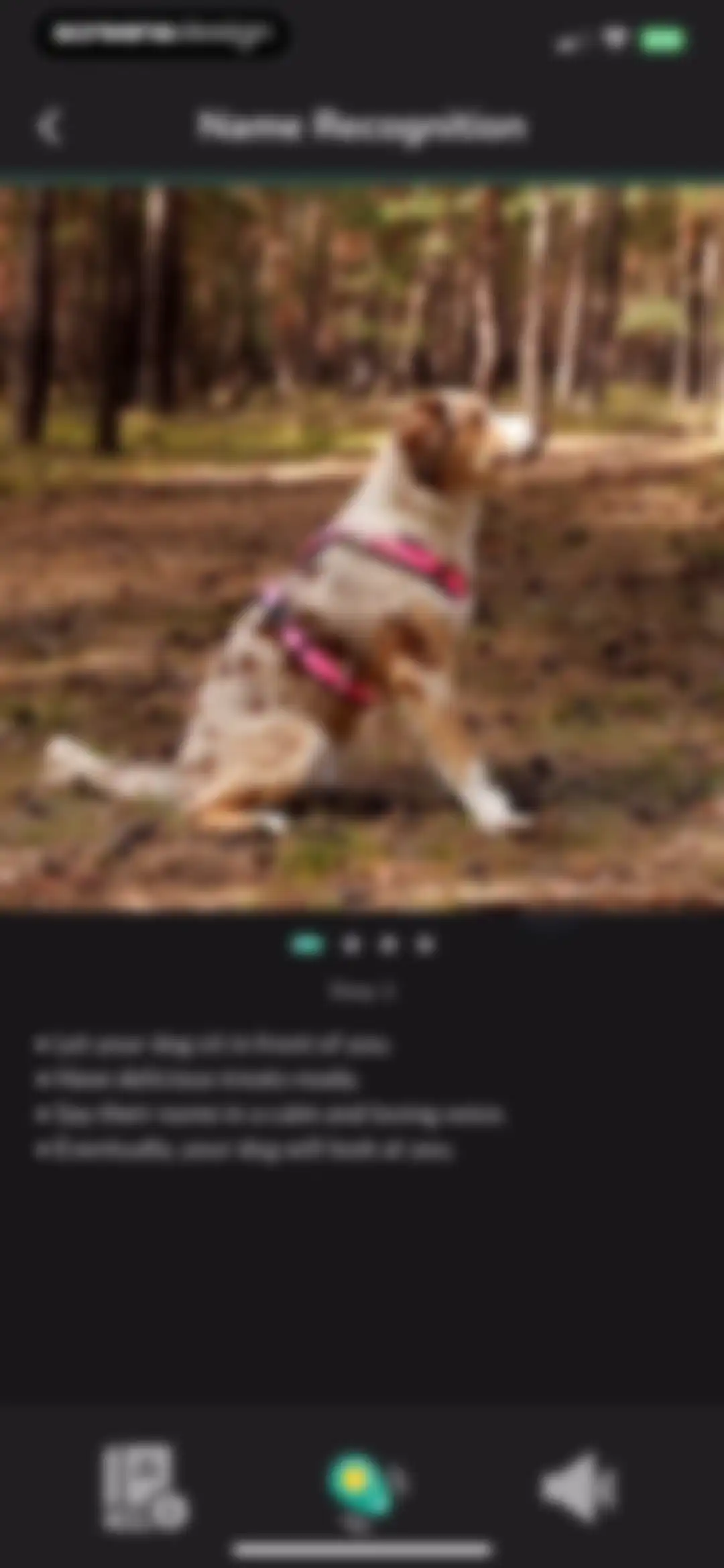 Hundeo - Dog Training & Tricks screen 47