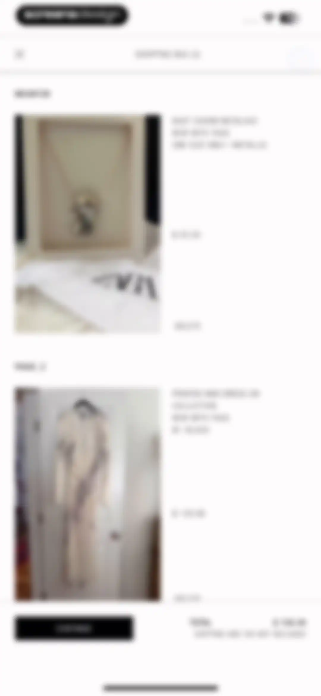 ZARA screen 69
