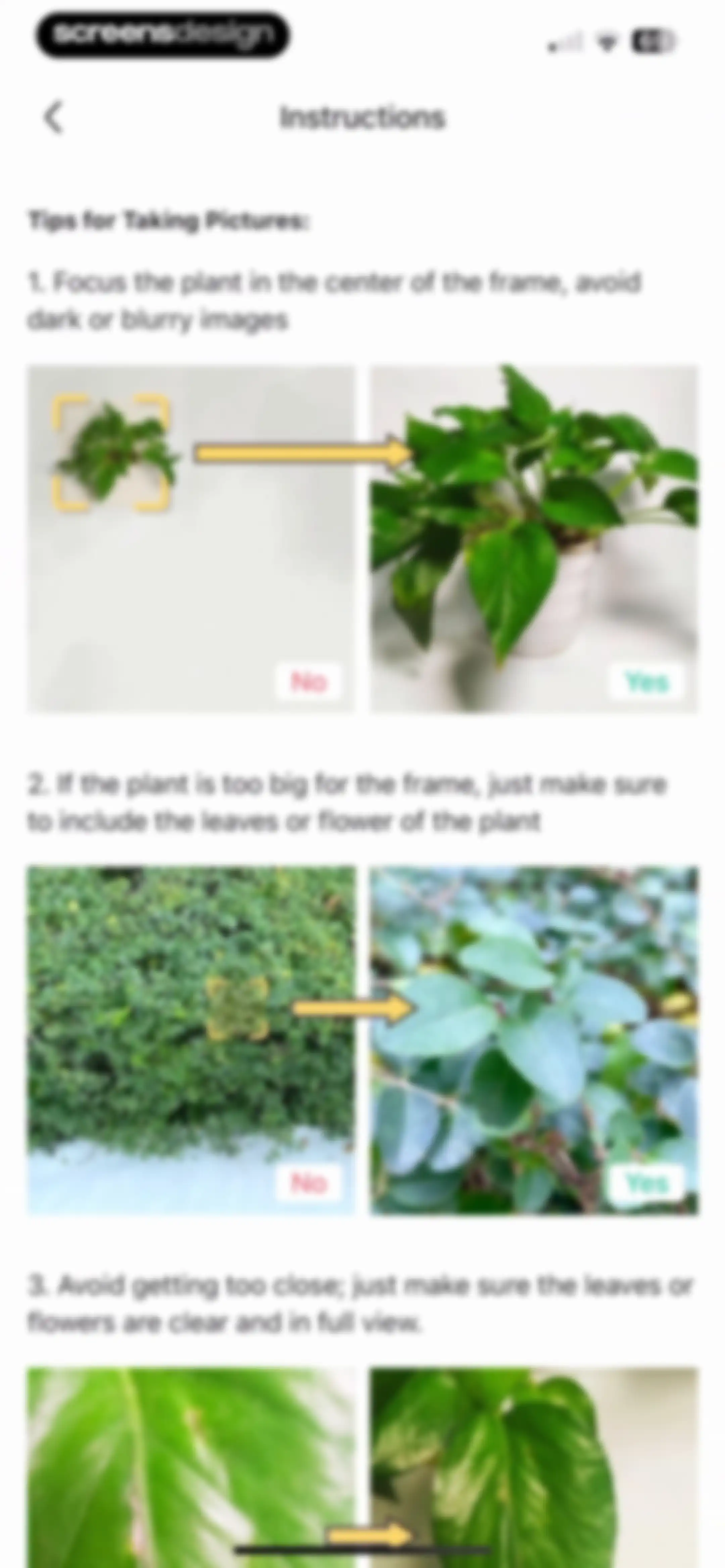 PictureThis - Plant Identifier screen 220