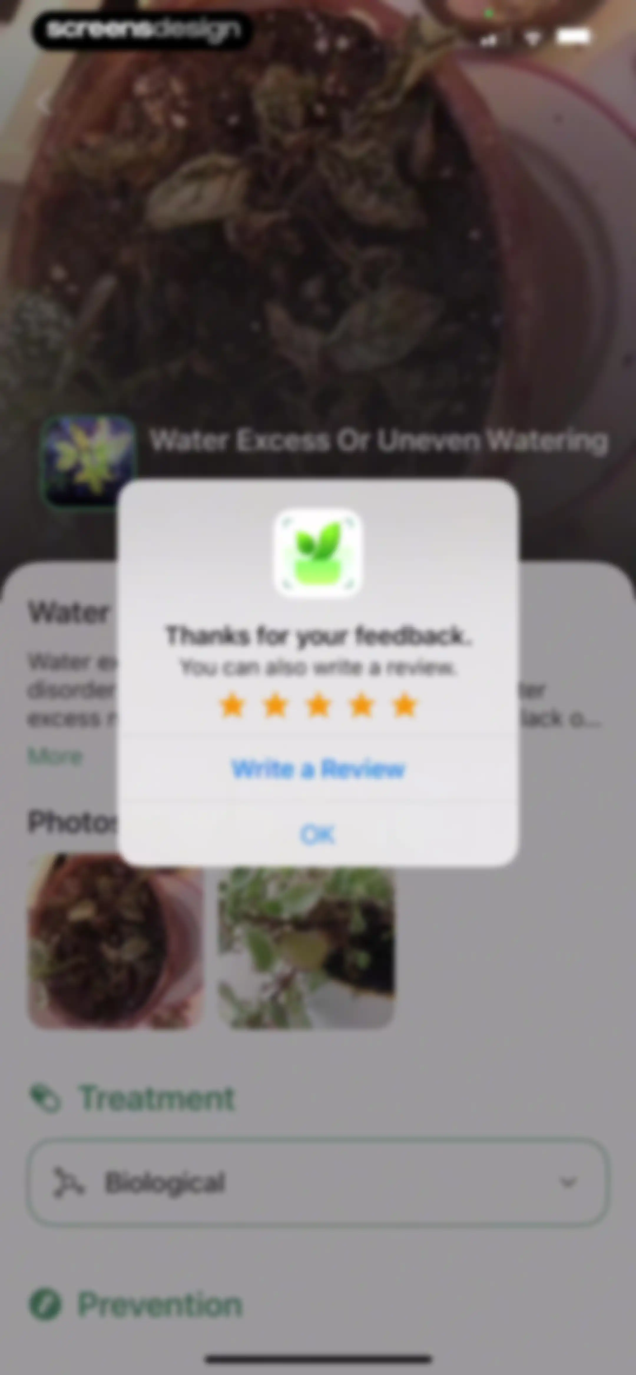 Verde Finder : identify plants screen 29
