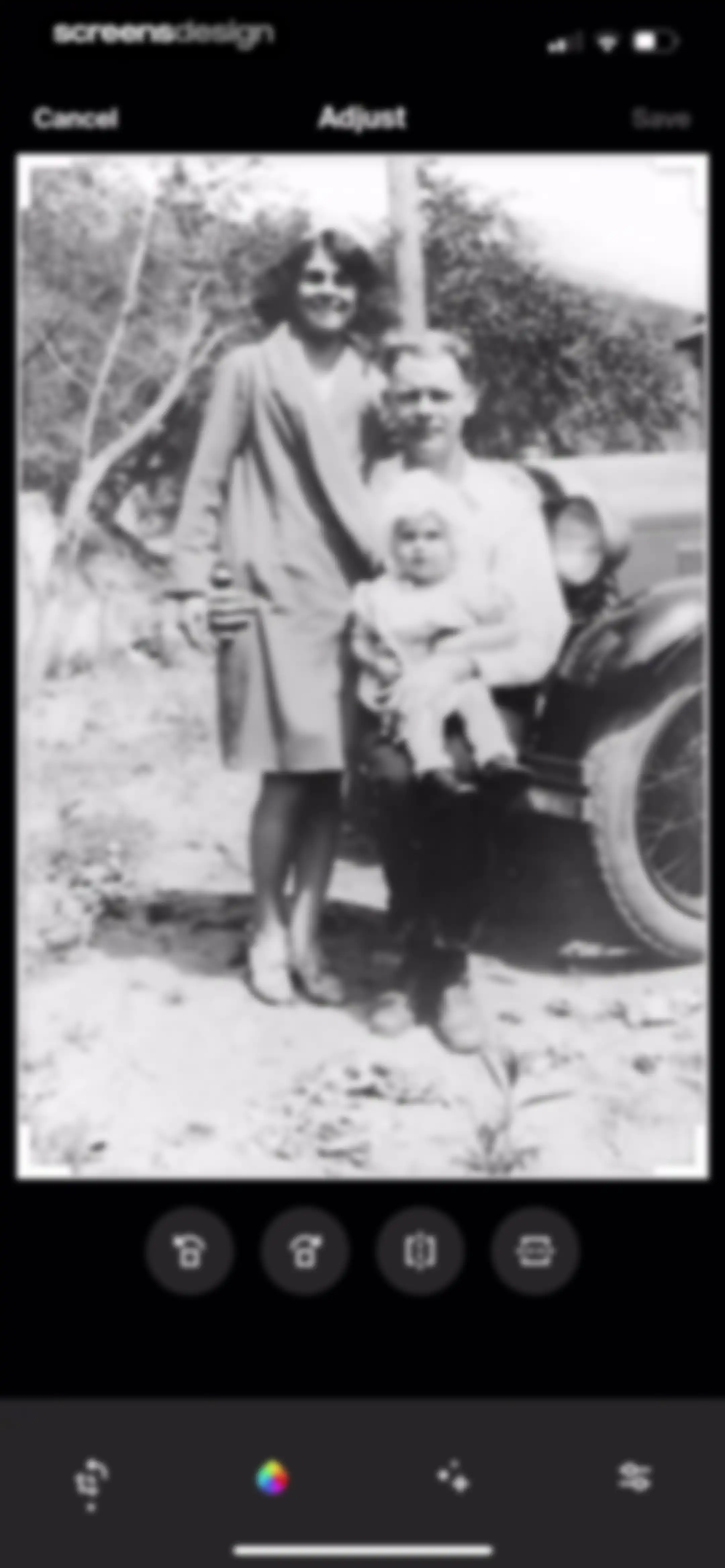 Ancestry: Family History & DNA screen 236