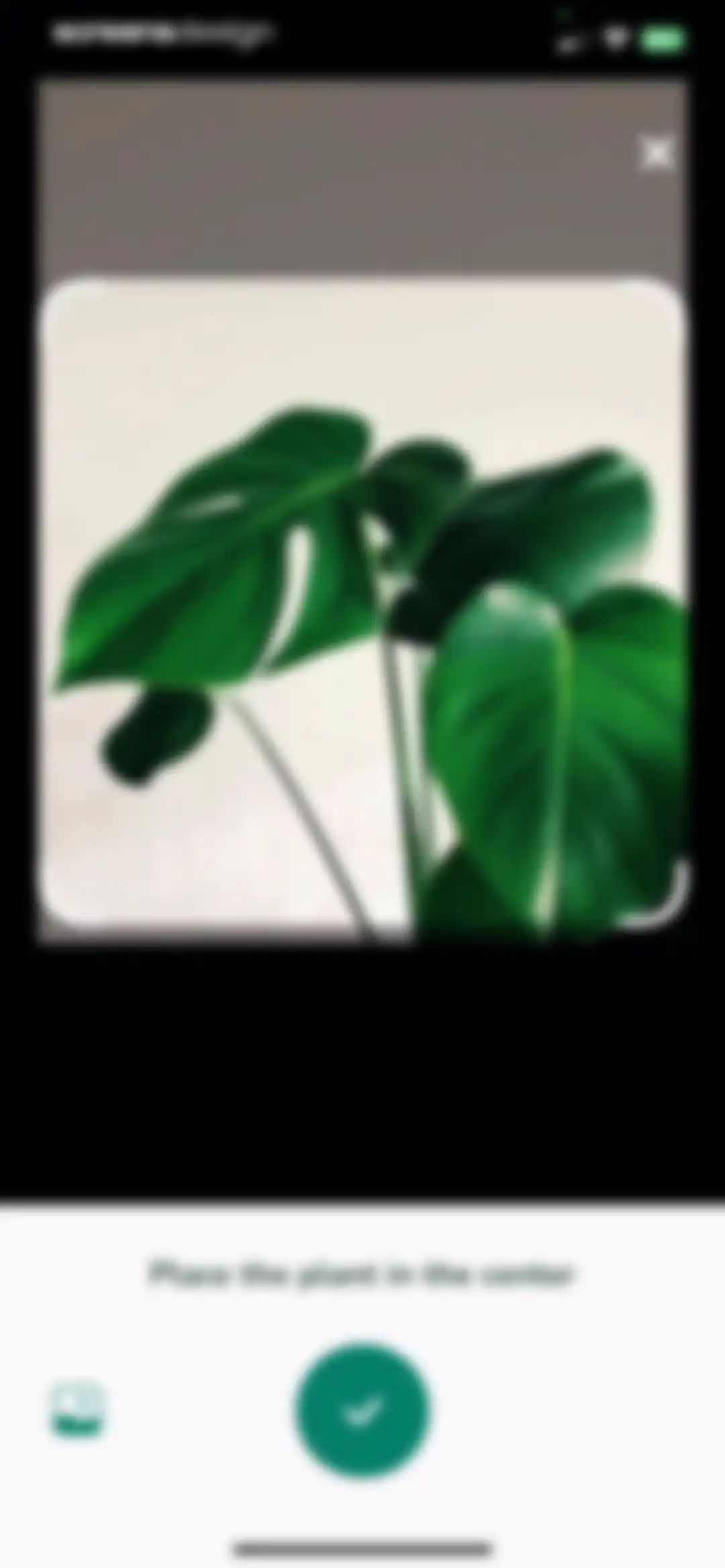 Plantify: AI Plant Identifier screen 10