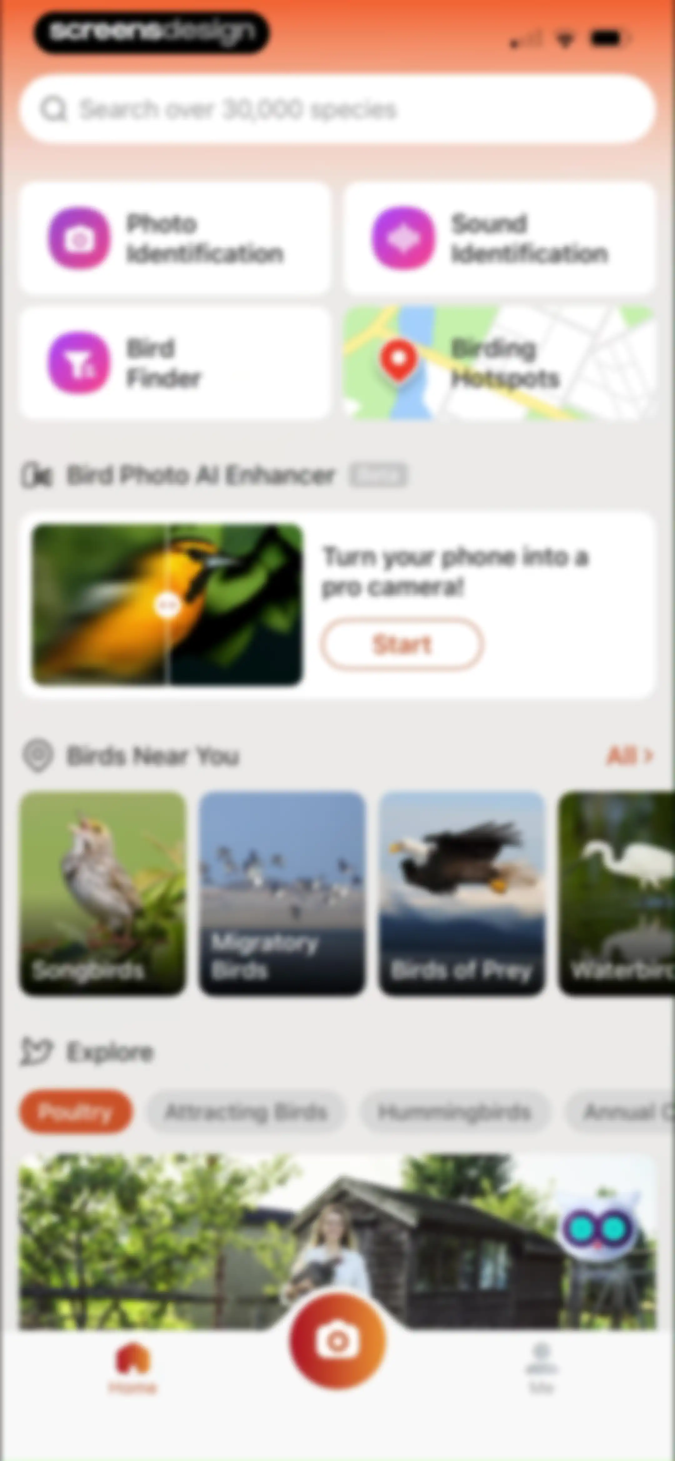 Picture Bird: Bird identifier screen 47