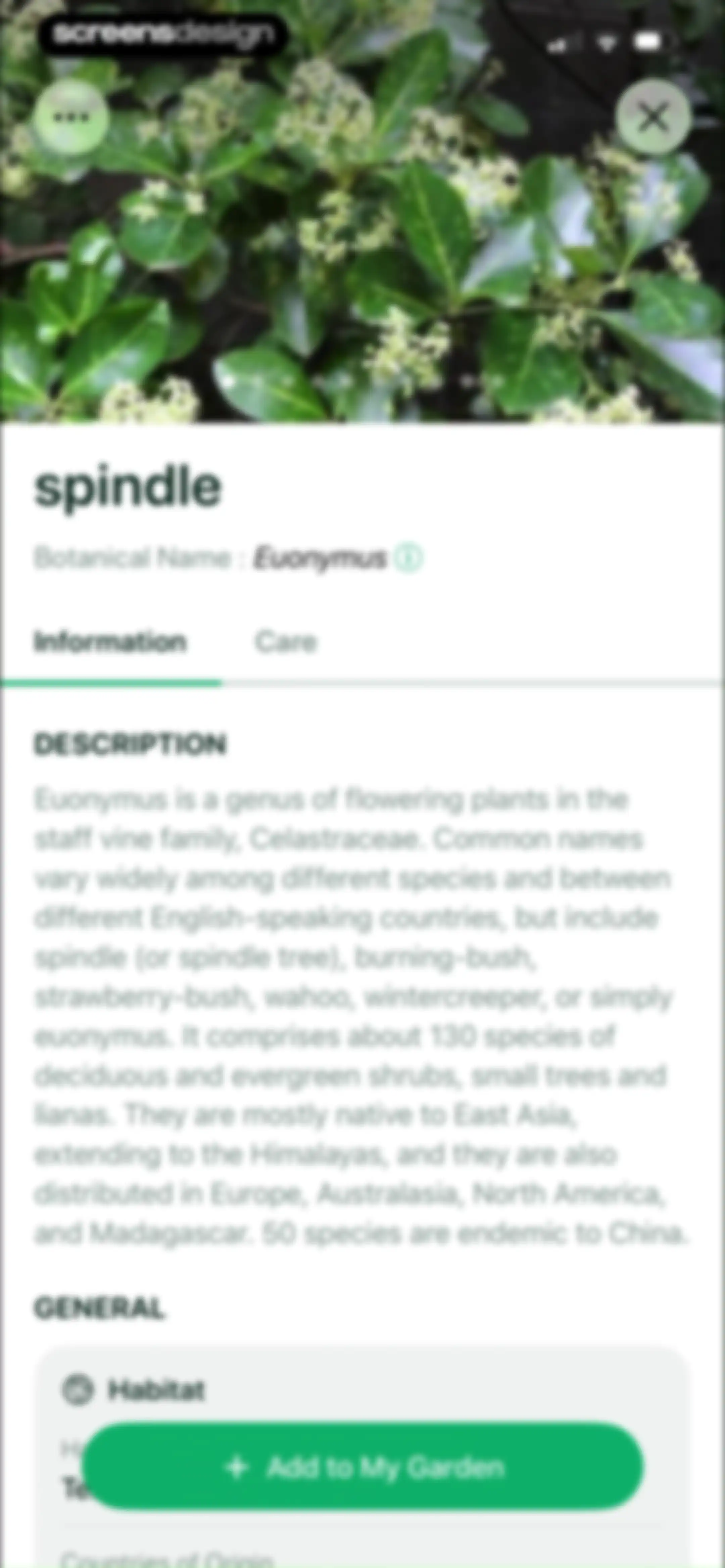 Planto: Plant Identifier screen 38