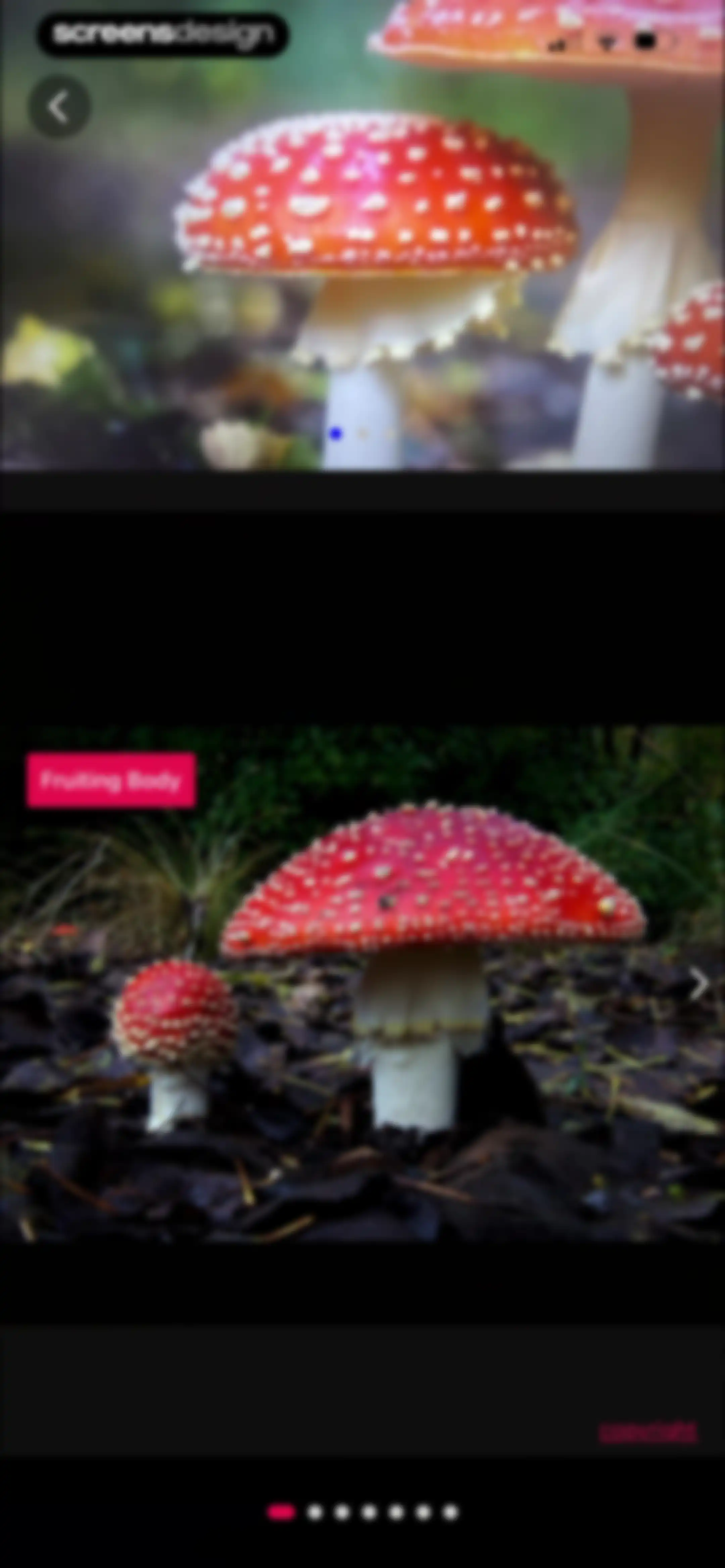 Picture Mushroom: Identifier screen 35