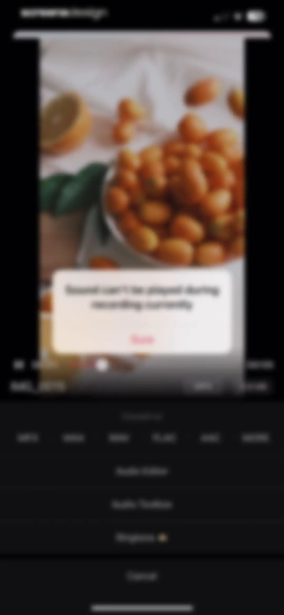 Audio Editor: MP3 Converter screen 76