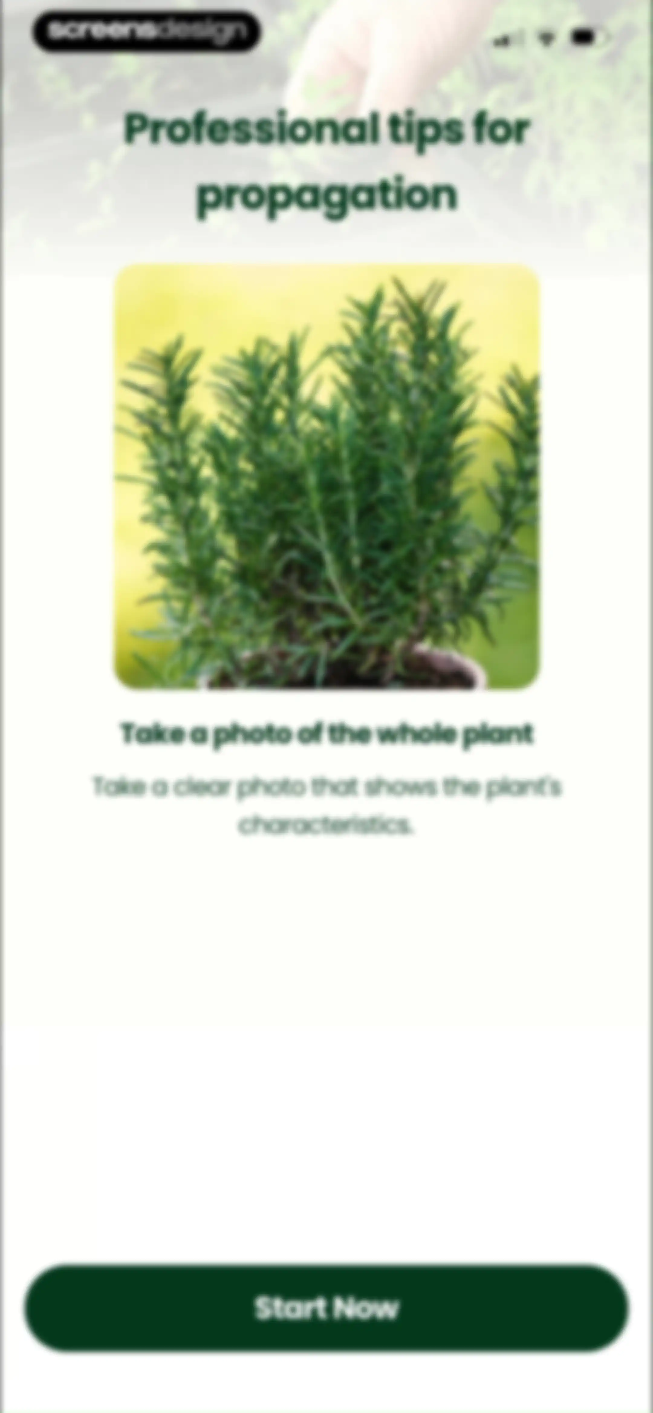 PlantAI: Identifier & Diagnose screen 81
