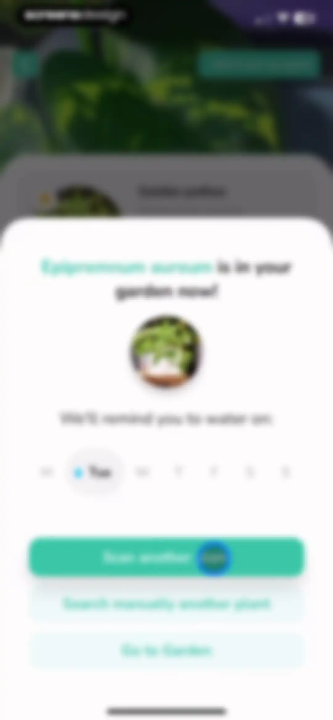 Plant Identifier - PlantMe screen 16