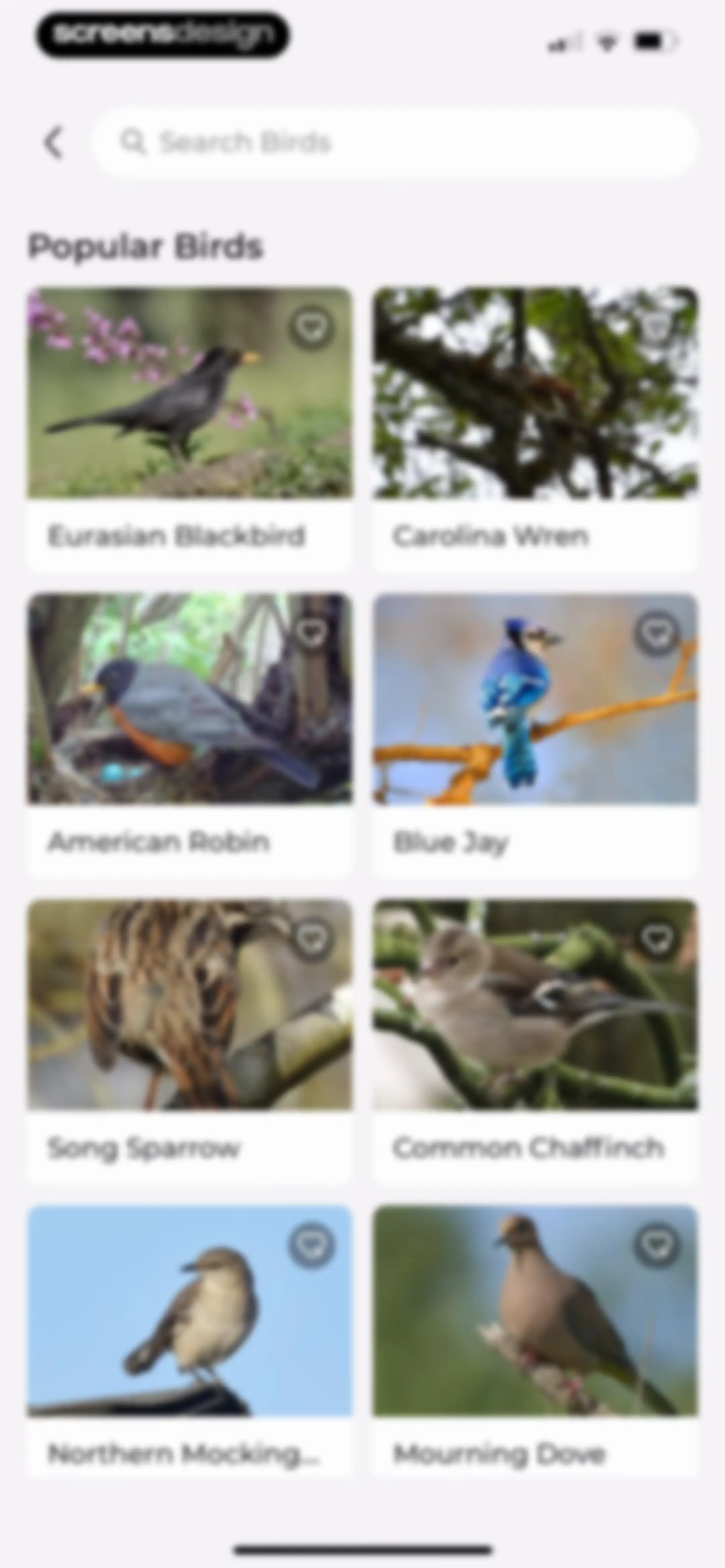 Bird Identifier: BirdScope screen 45