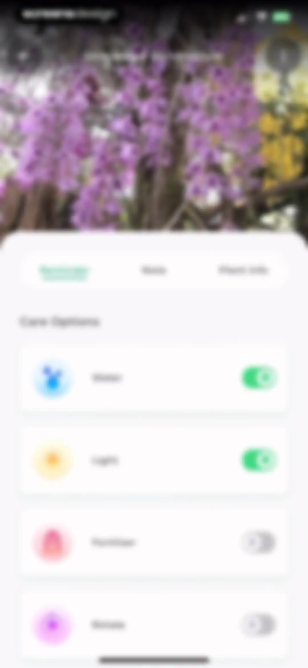 Plant Identifier: LeafSnap screen 60