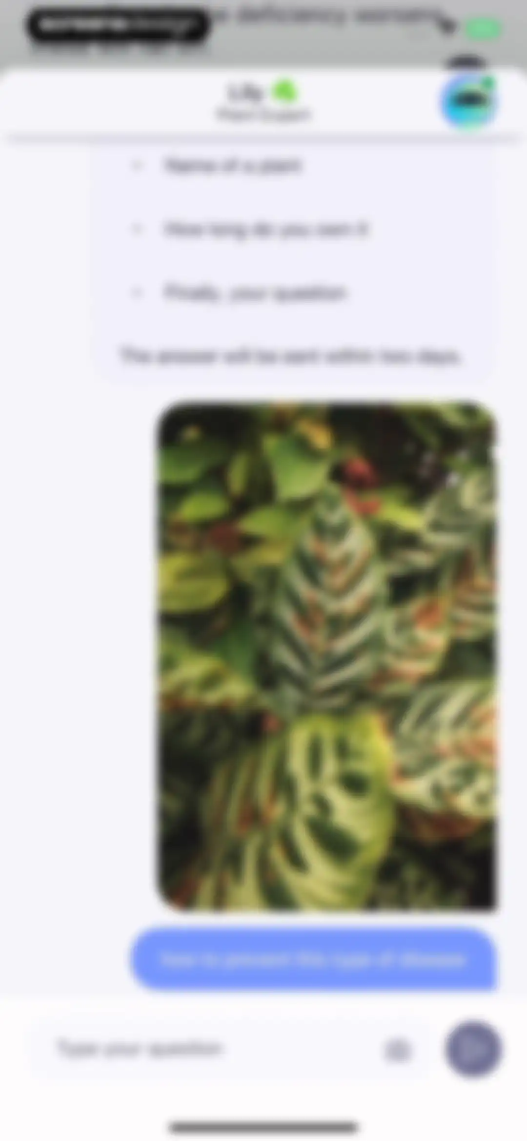 AI Plant Identifier・Care－Lily screen 39