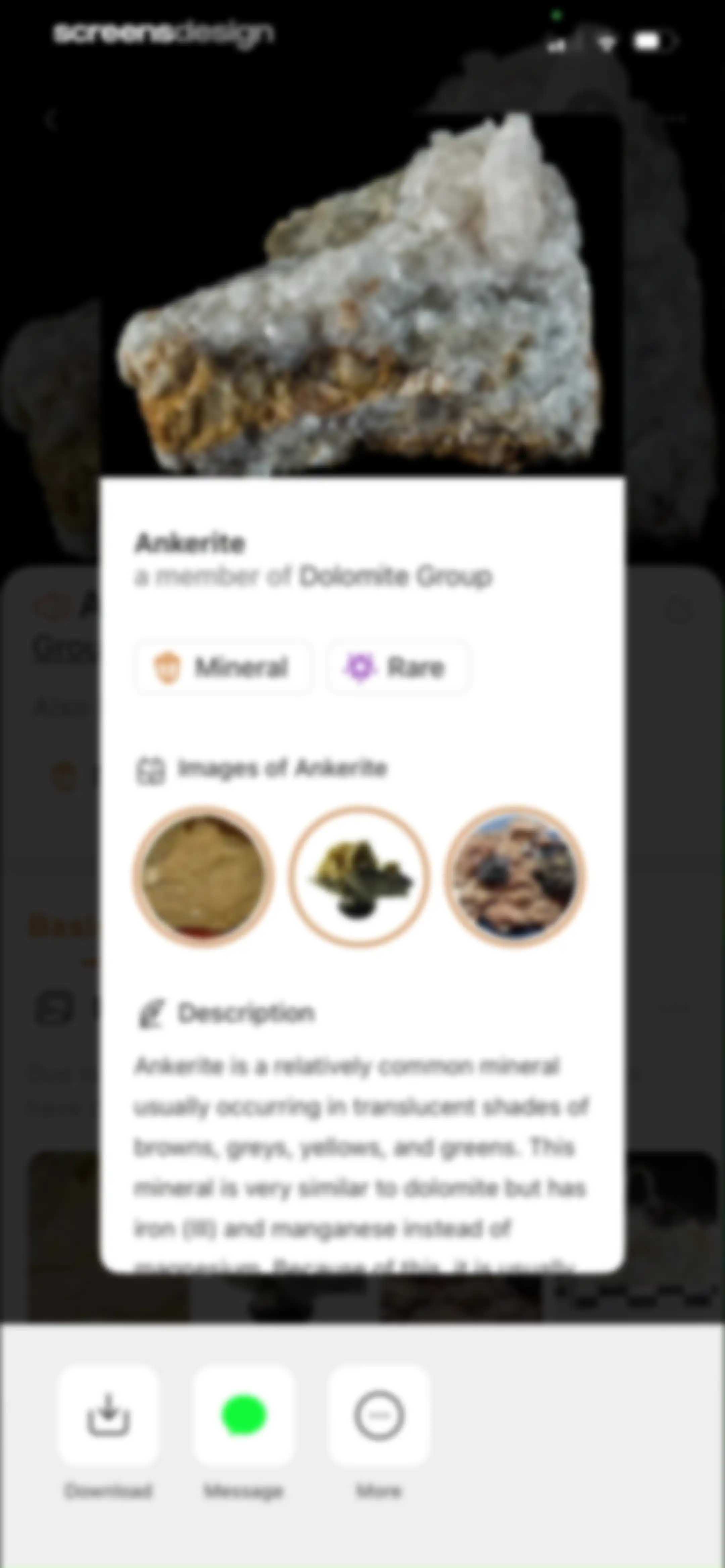Rock Identifier: Stone ID screen 49