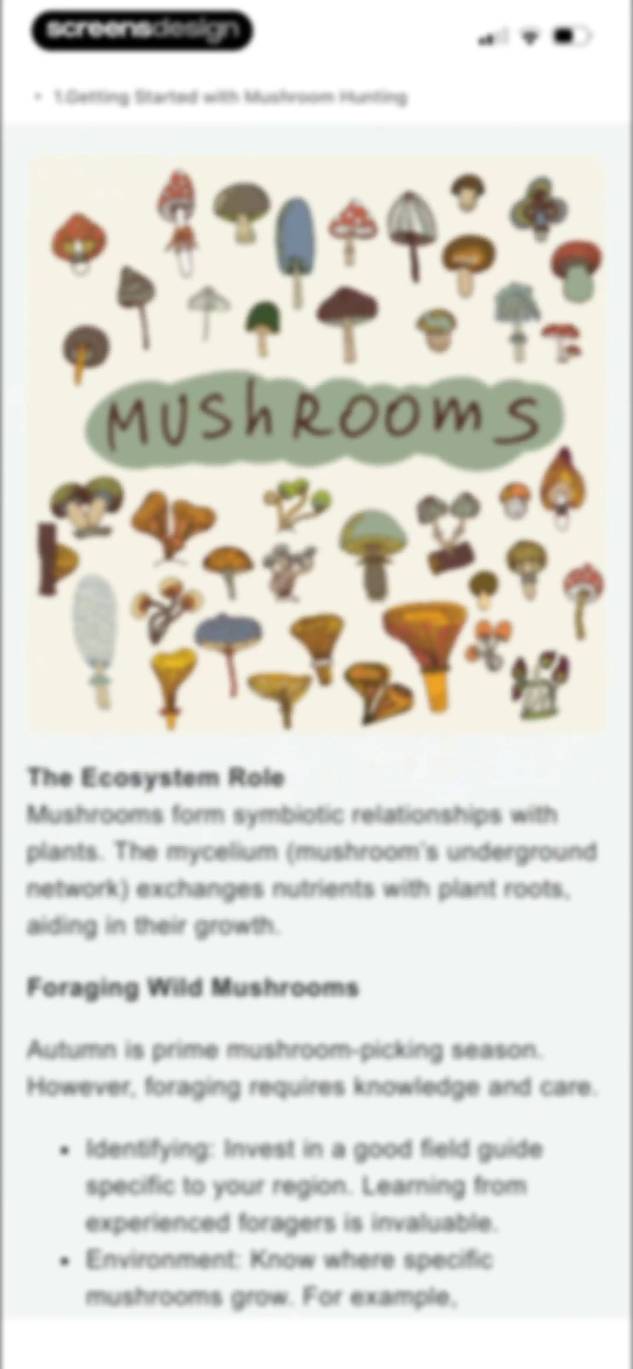 Picture Mushroom: Identifier screen 69