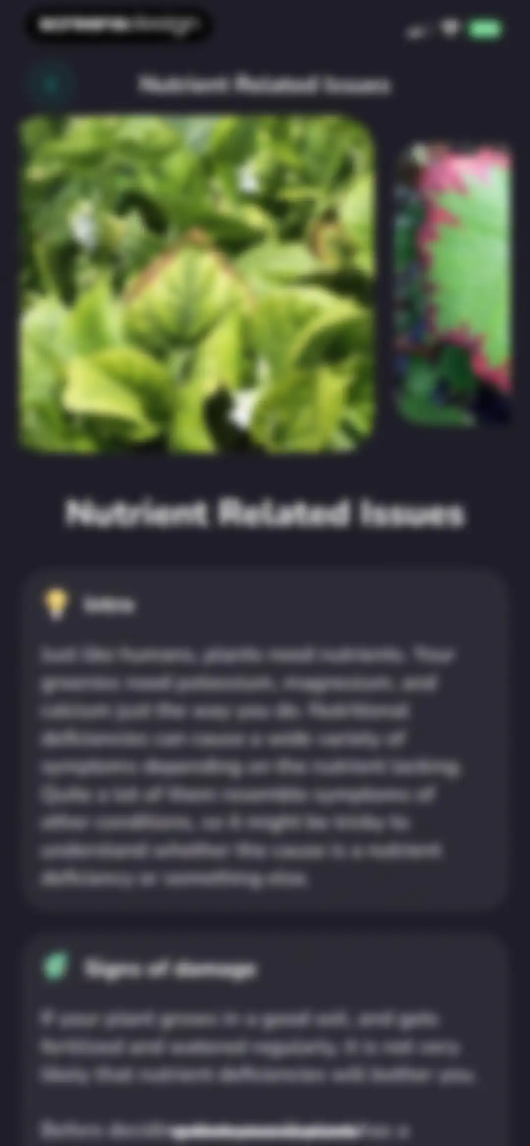 Plantfie・Plant Care Identifier screen 78