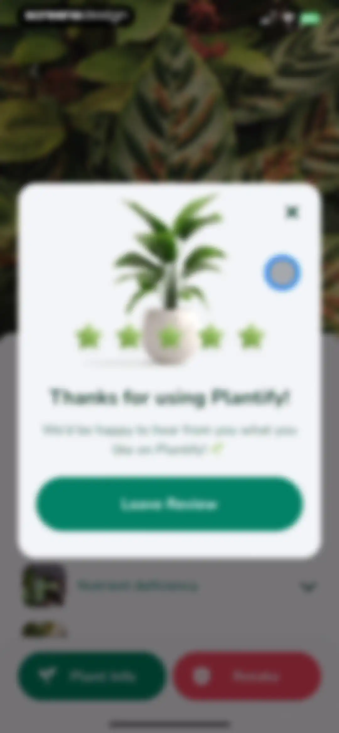 Plantify: AI Plant Identifier screen 45