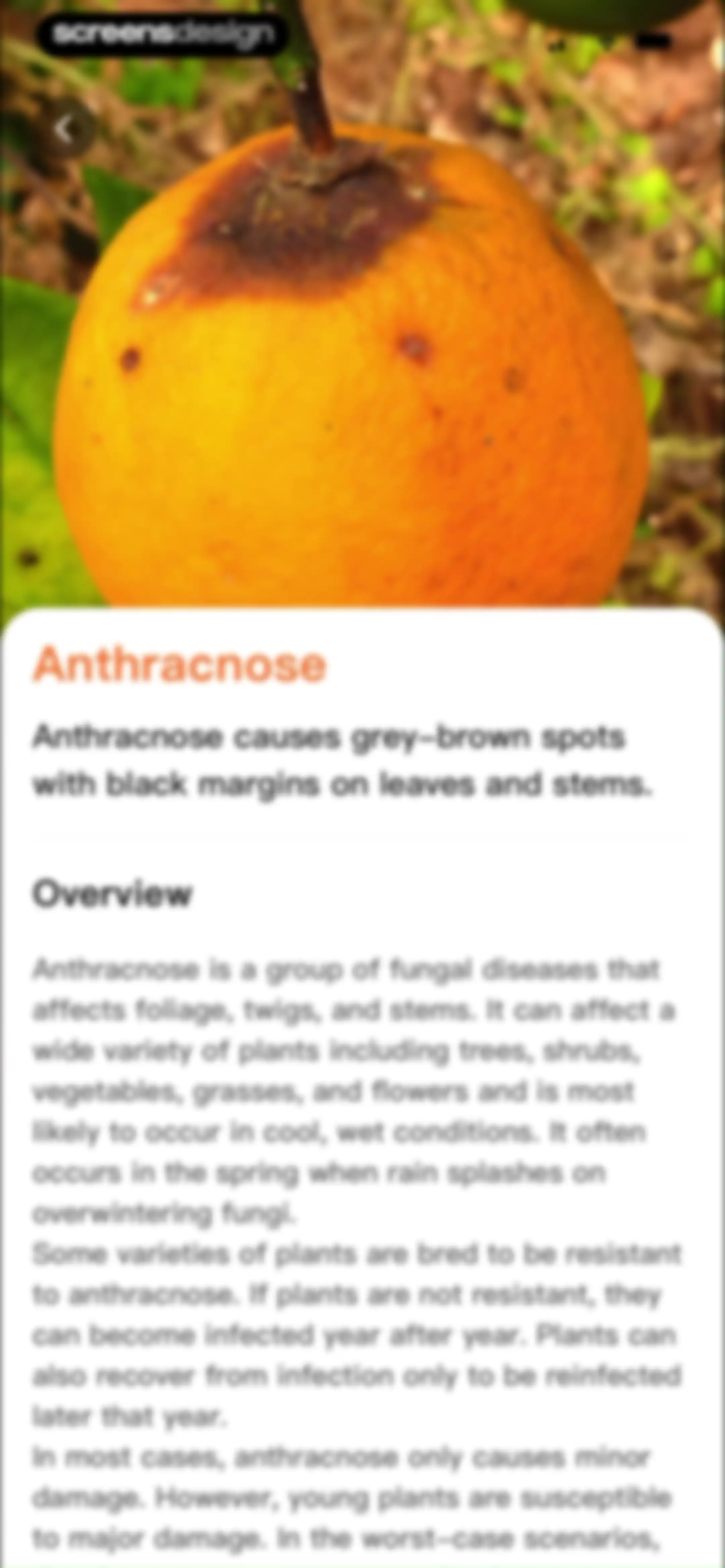 PlantLush: Plant ID & Care Pro screen 102