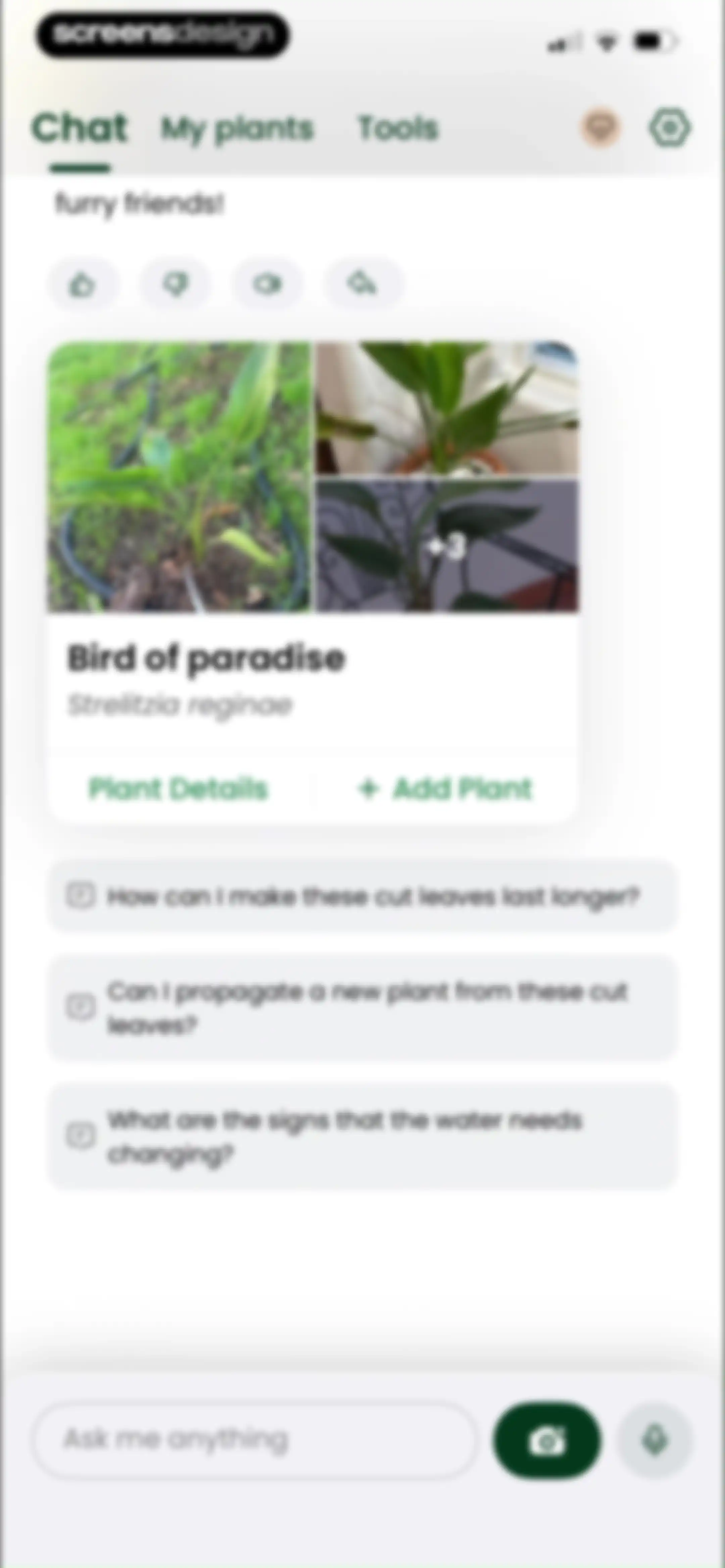 PlantAI: Identifier & Diagnose screen 23