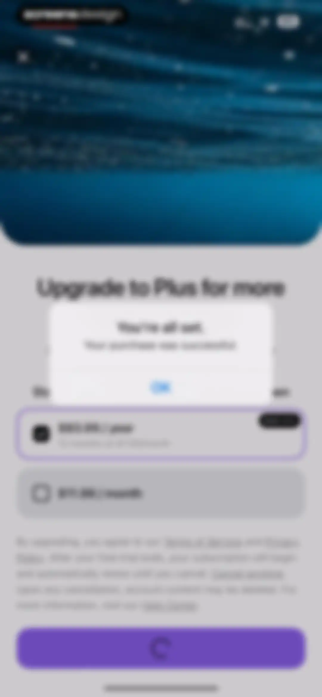 Vimeo screen 17