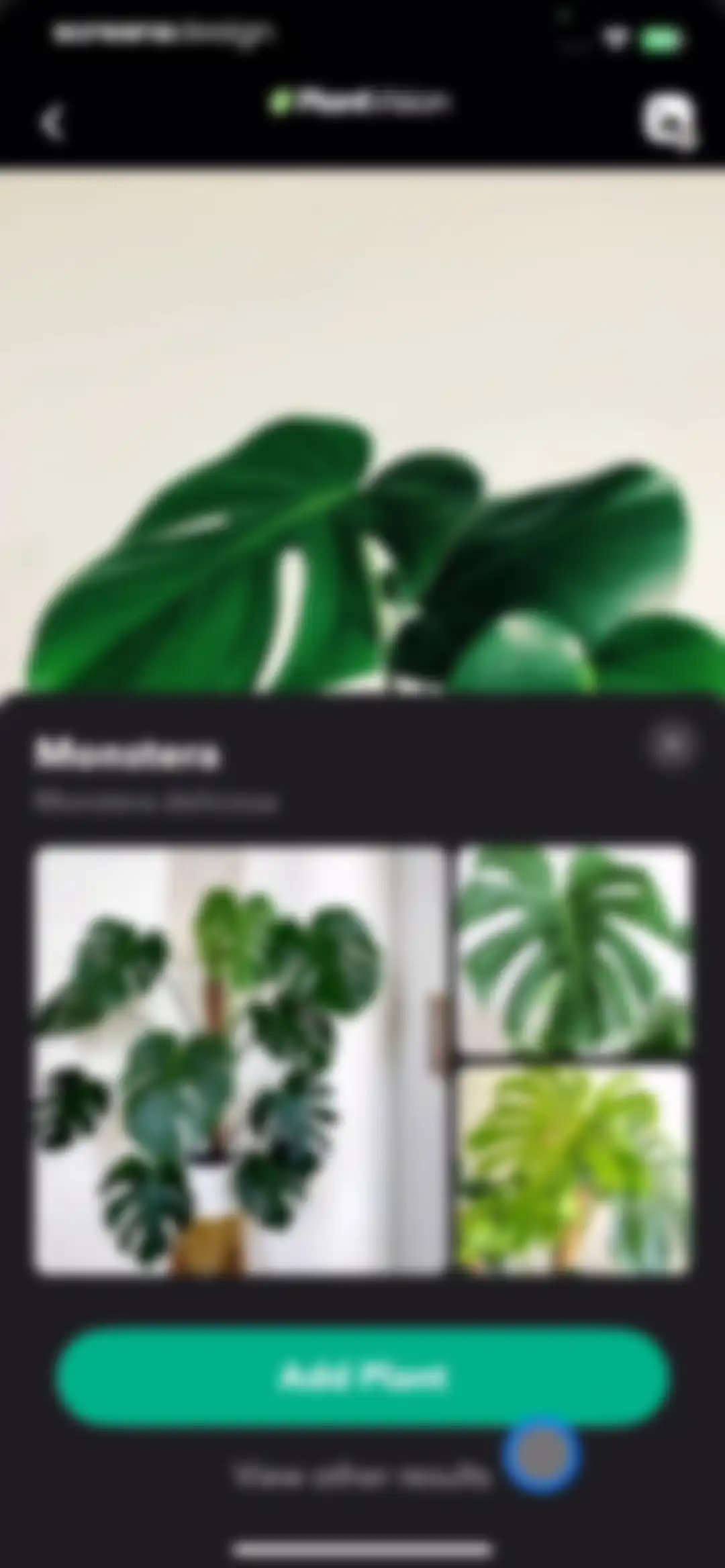 Greg: Plant Identifier & Care screen 16