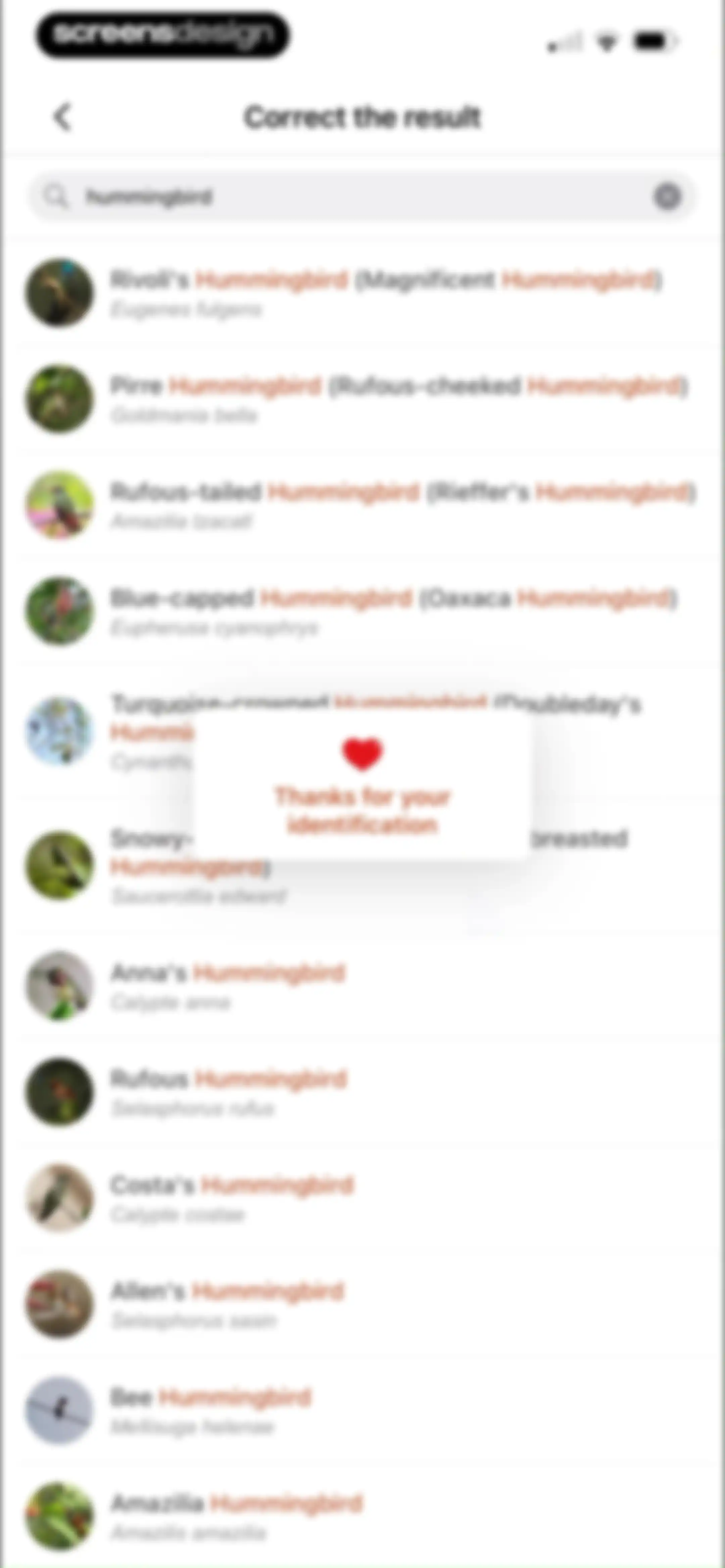 Picture Bird: Bird identifier screen 103