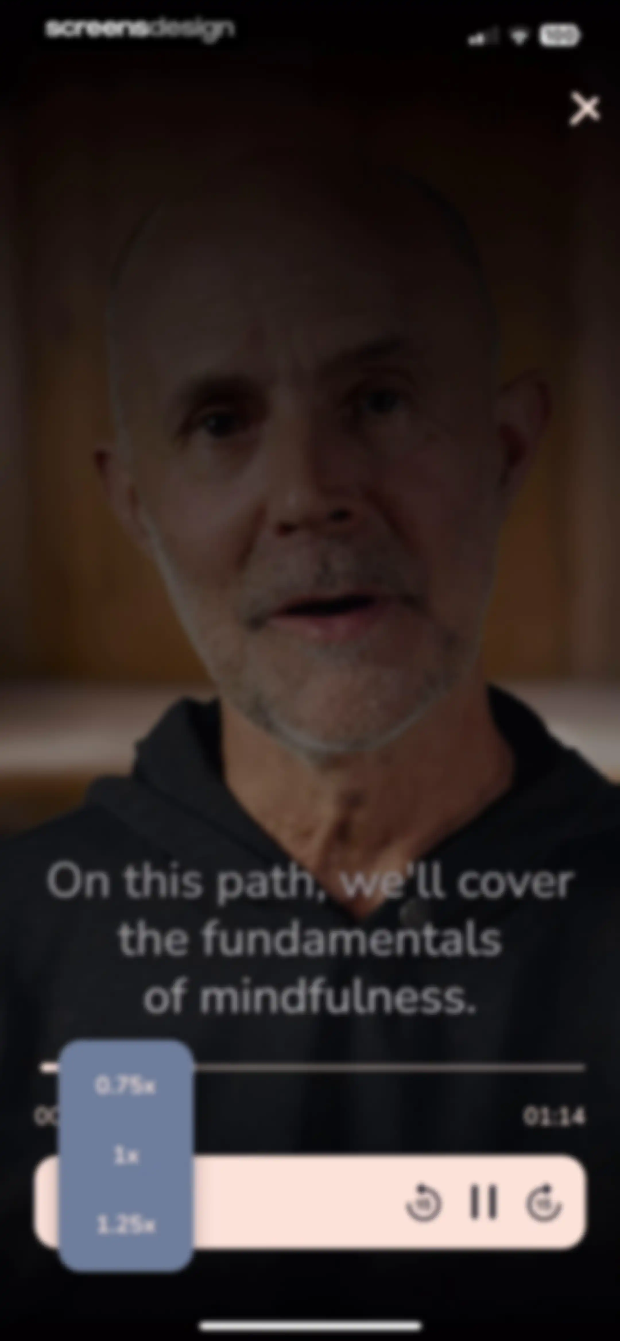 The Way: Meditation & Zen screen 11