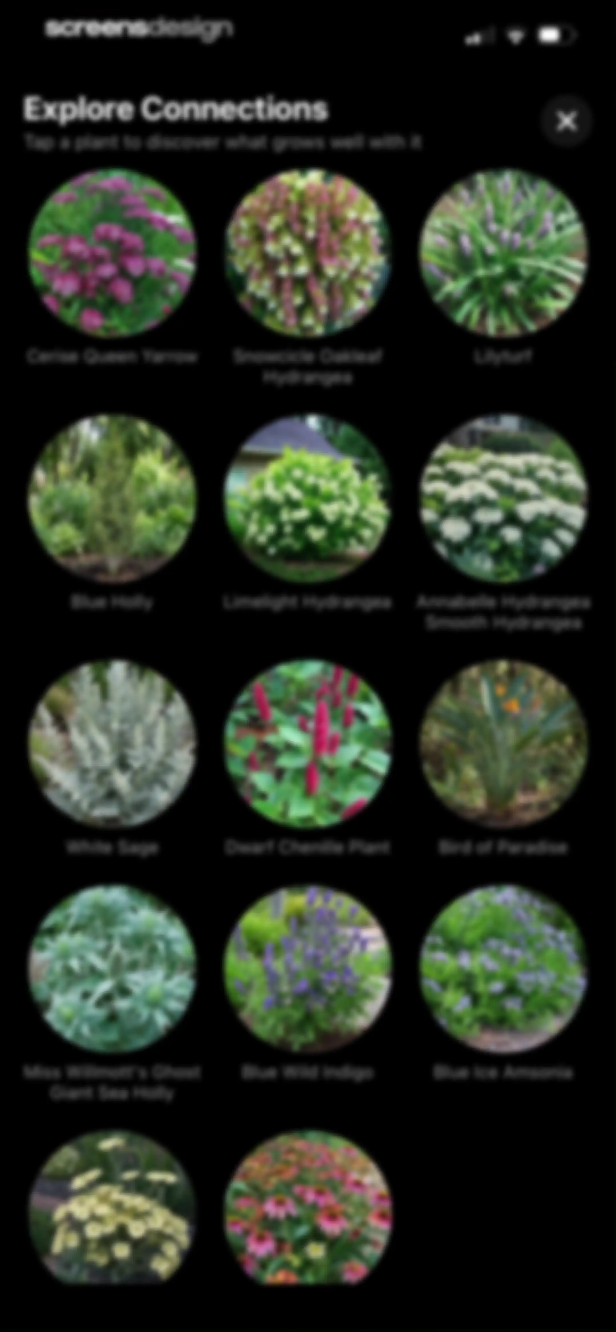 Sow: Garden & Landscape Design screen 133