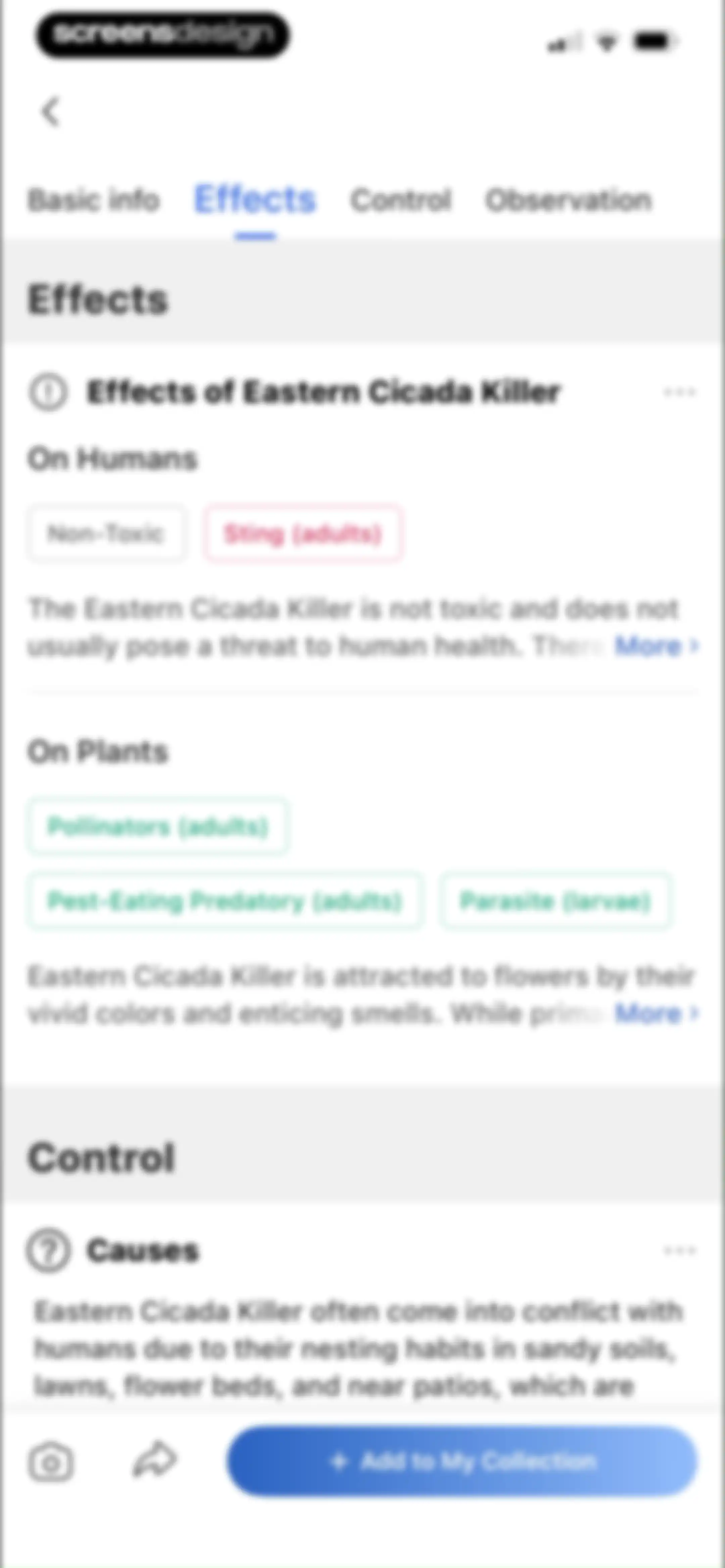 Picture Insect: Bug Identifier screen 28