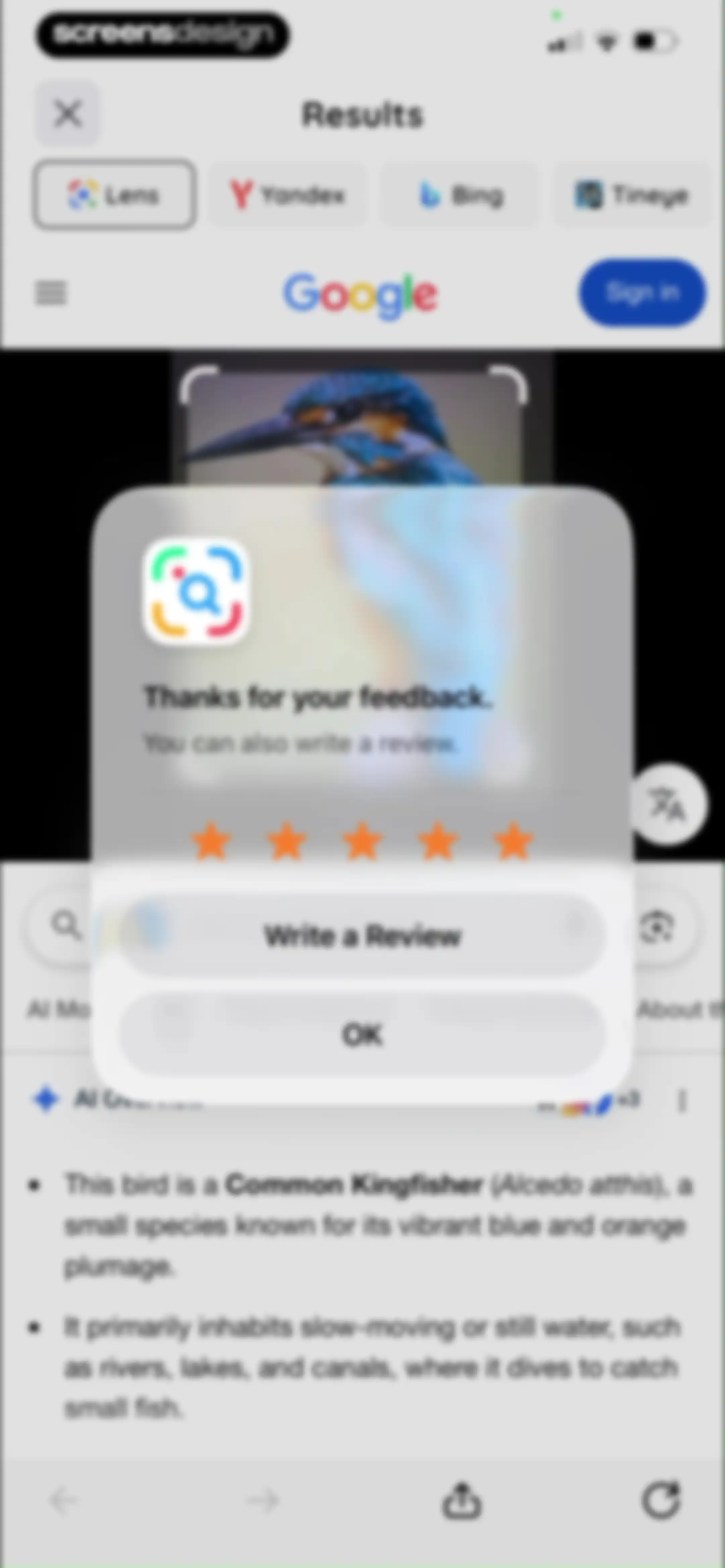 Lens: Translate & Image Search screen 22