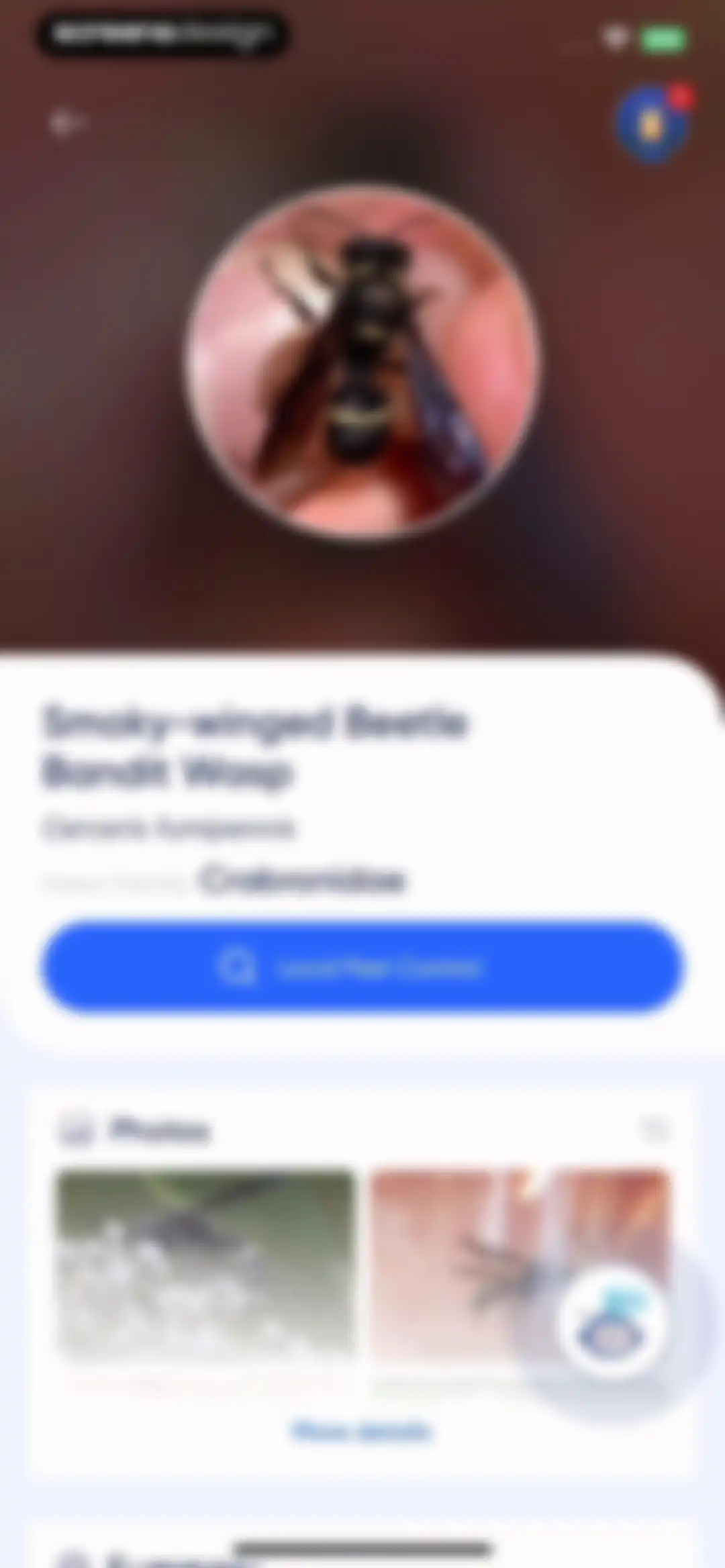 Bug Identifier: AI Insect id screen 28