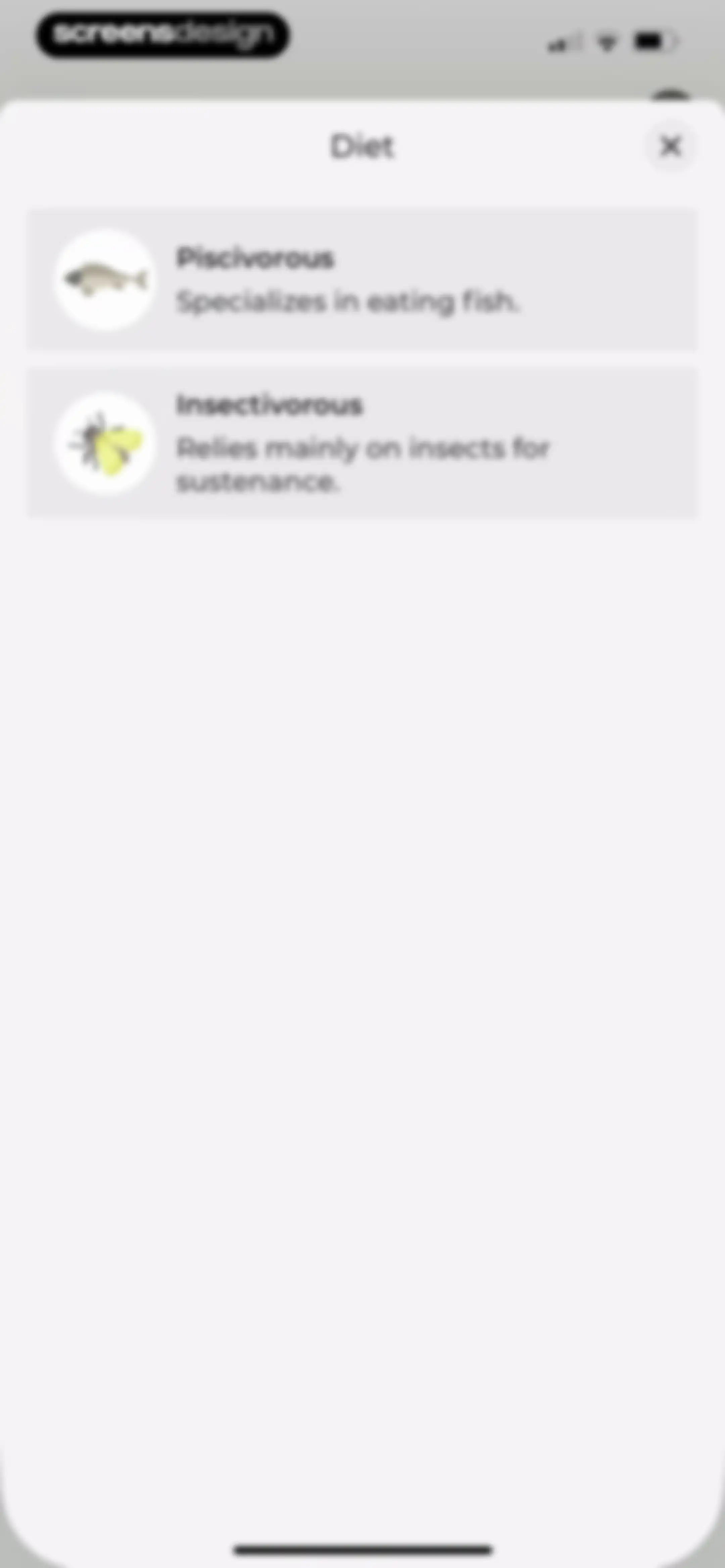 Bird Identifier: BirdScope screen 25