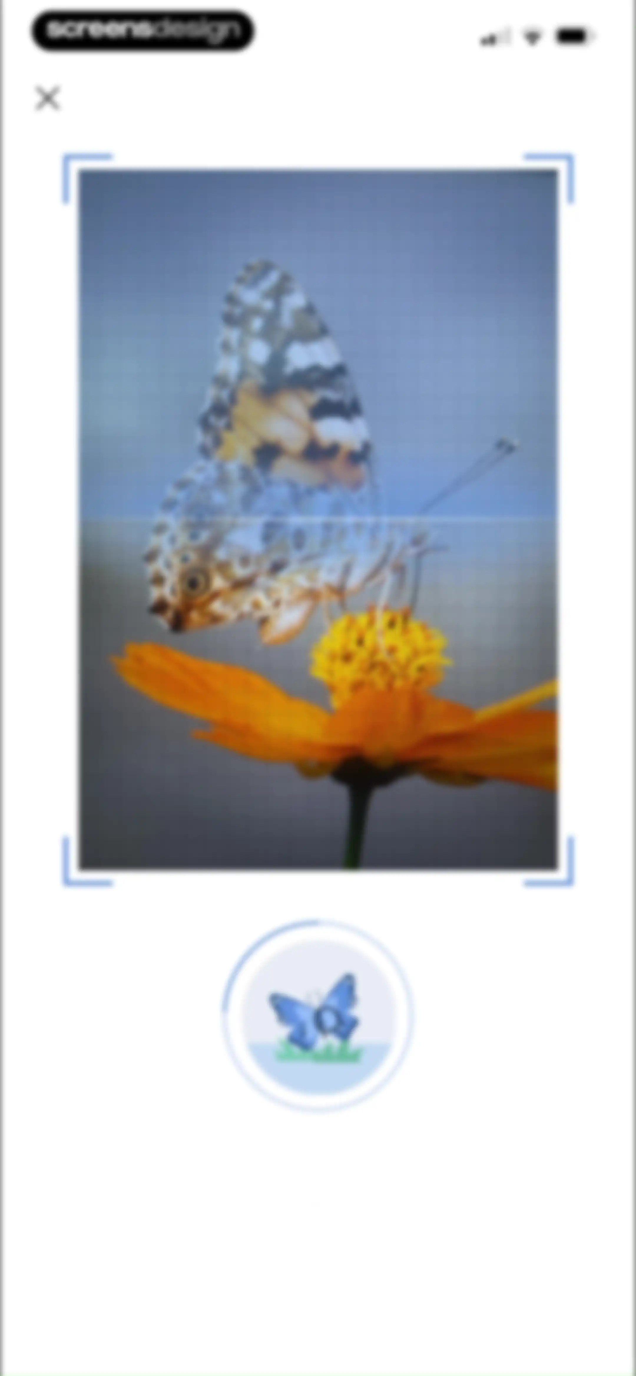Picture Insect: Bug Identifier screen 50