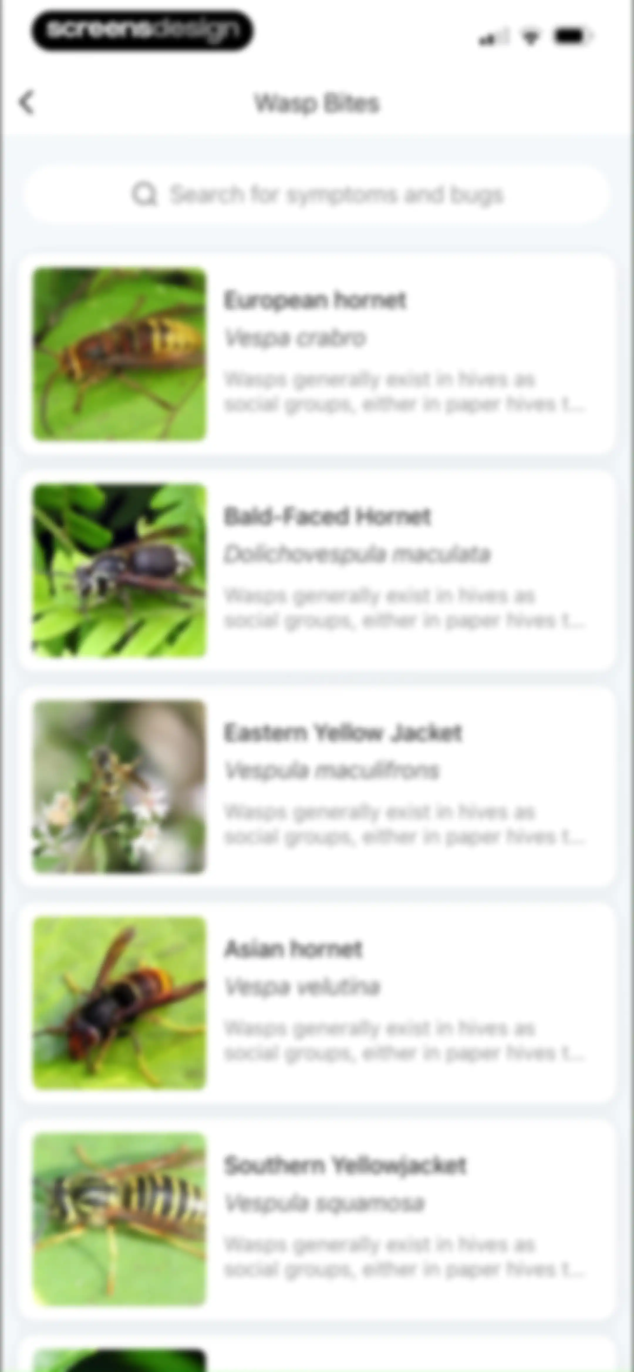 Picture Insect: Bug Identifier screen 88