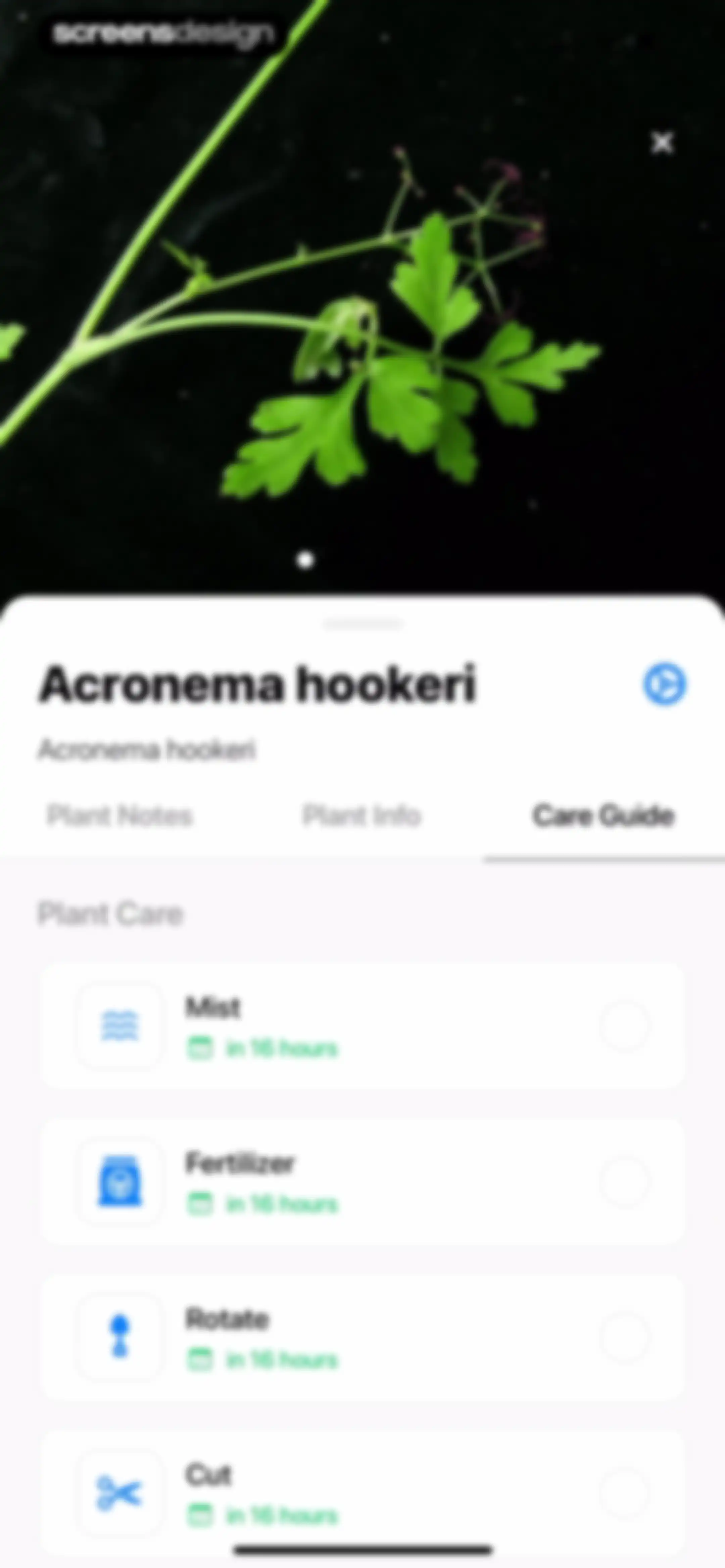 Plant App: Plant Identifier screen 107