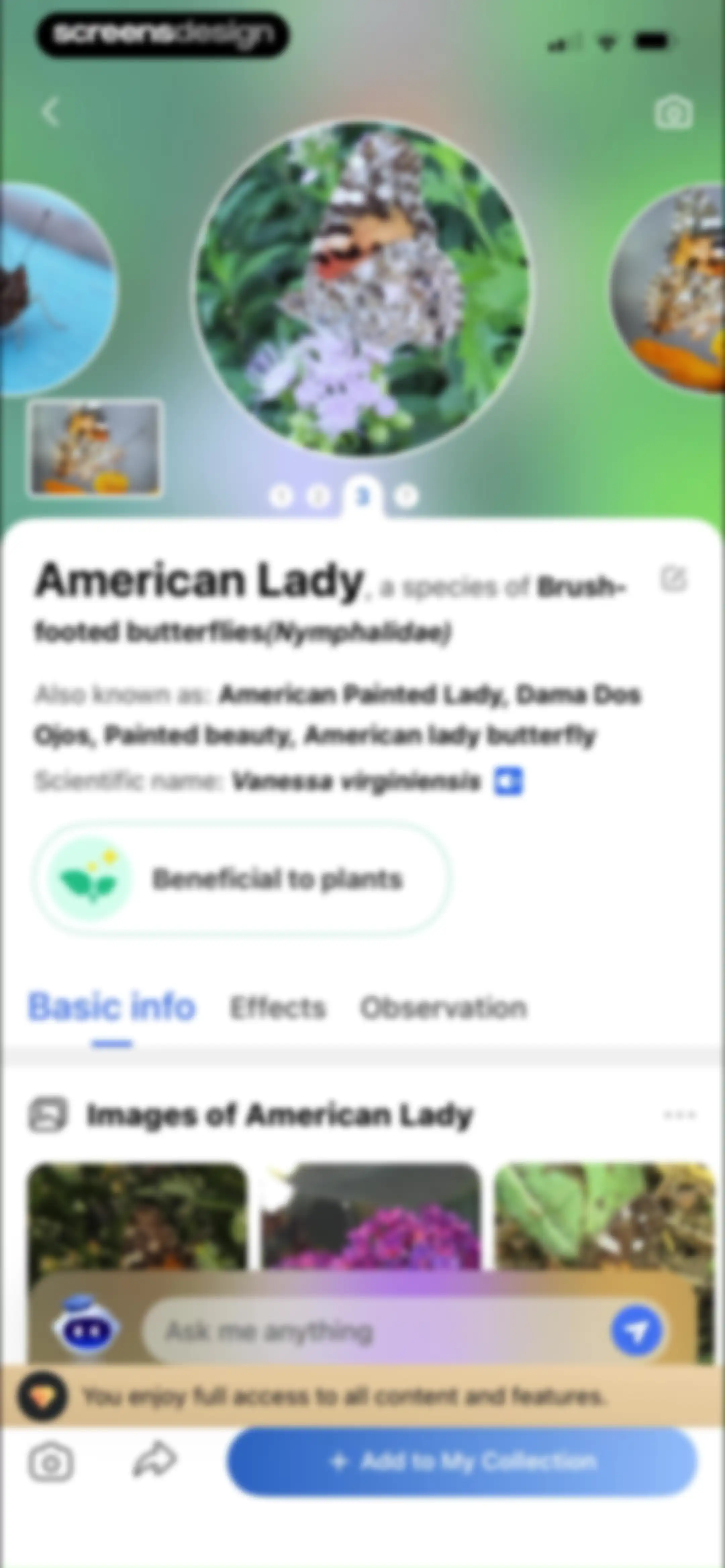 Picture Insect: Bug Identifier screen 53