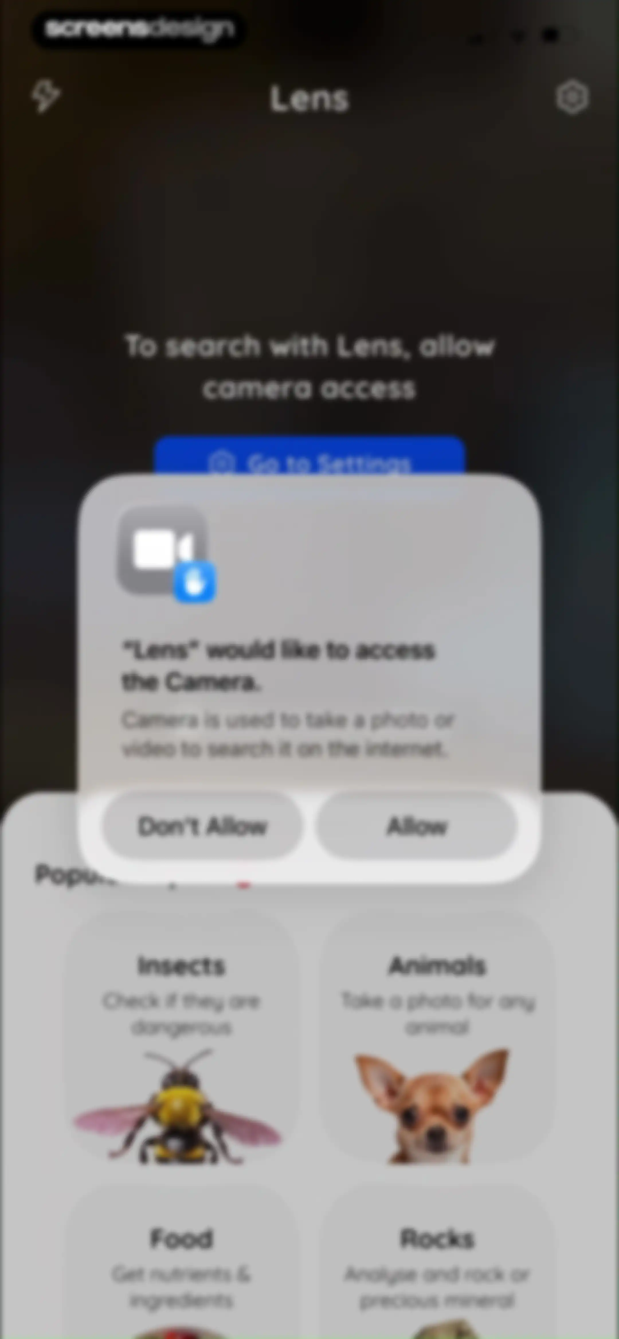 Lens: Translate & Image Search screen 15