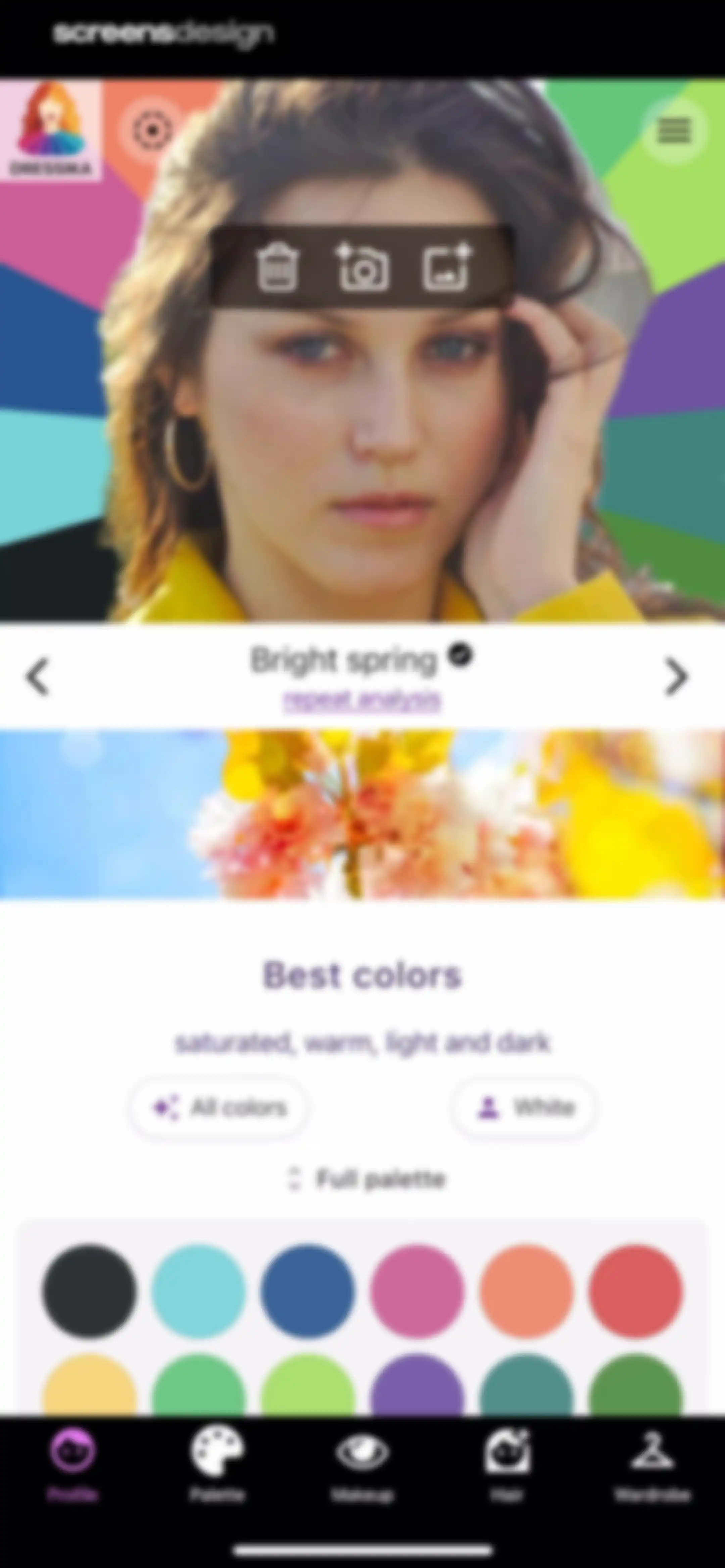 Color Analysis - Dressika screen 29