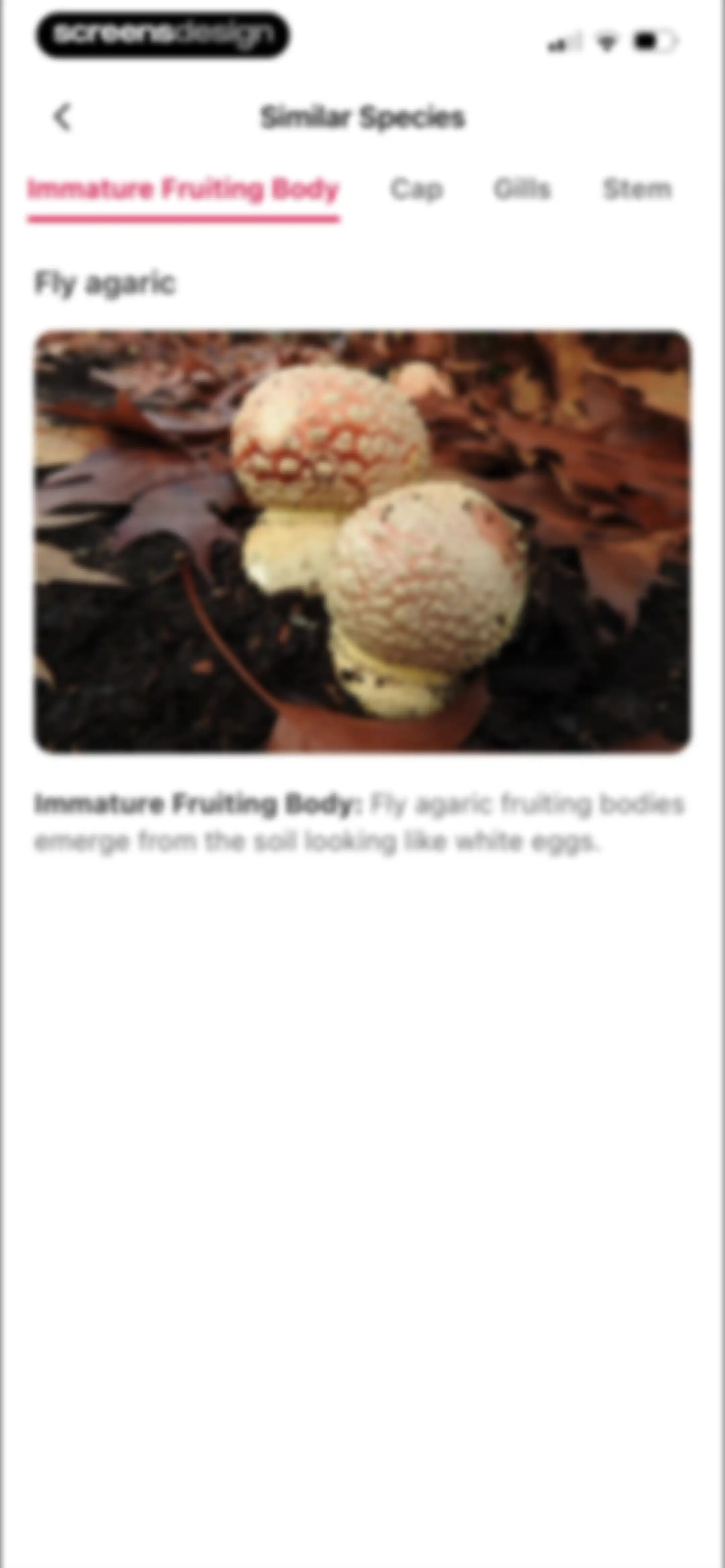 Picture Mushroom: Identifier screen 43