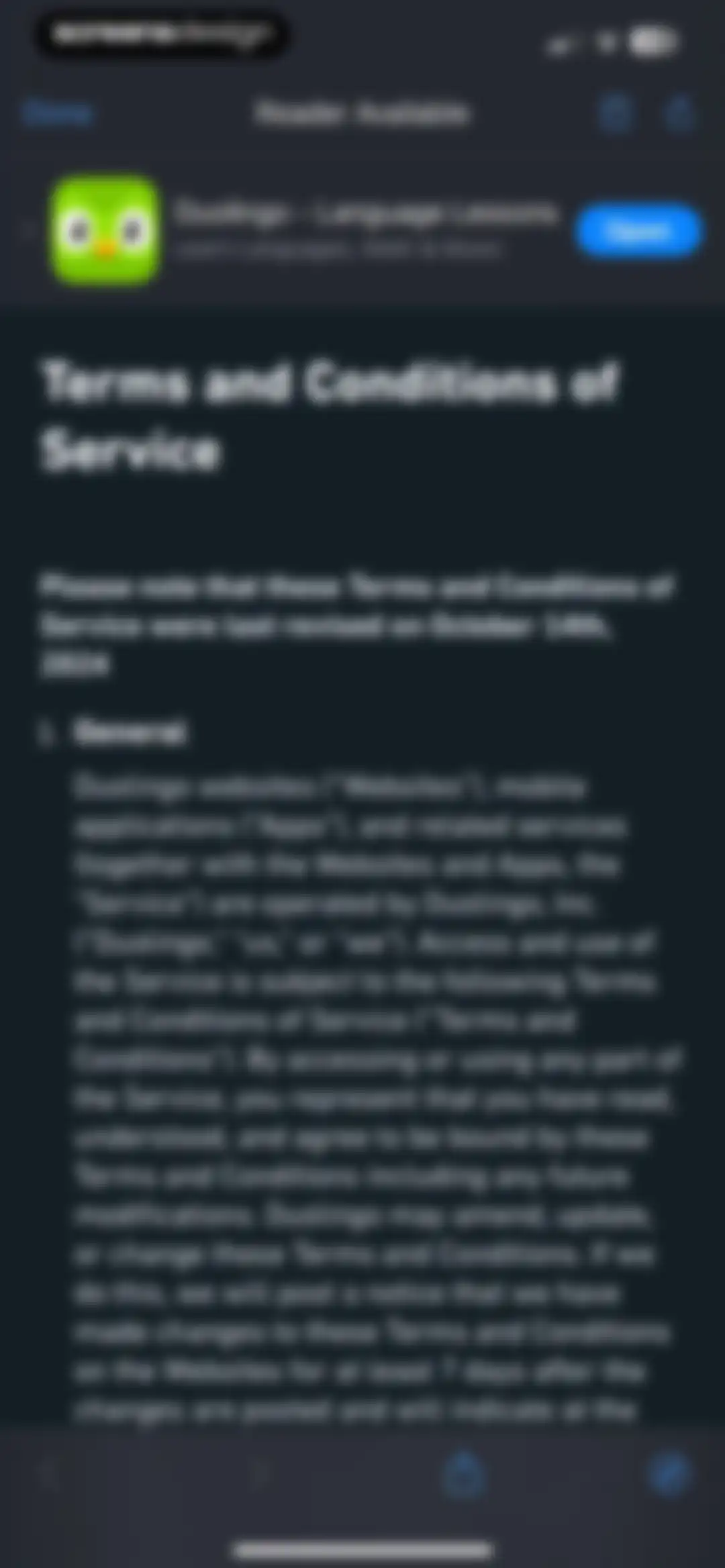 Duolingo: Language Lessons screen 189