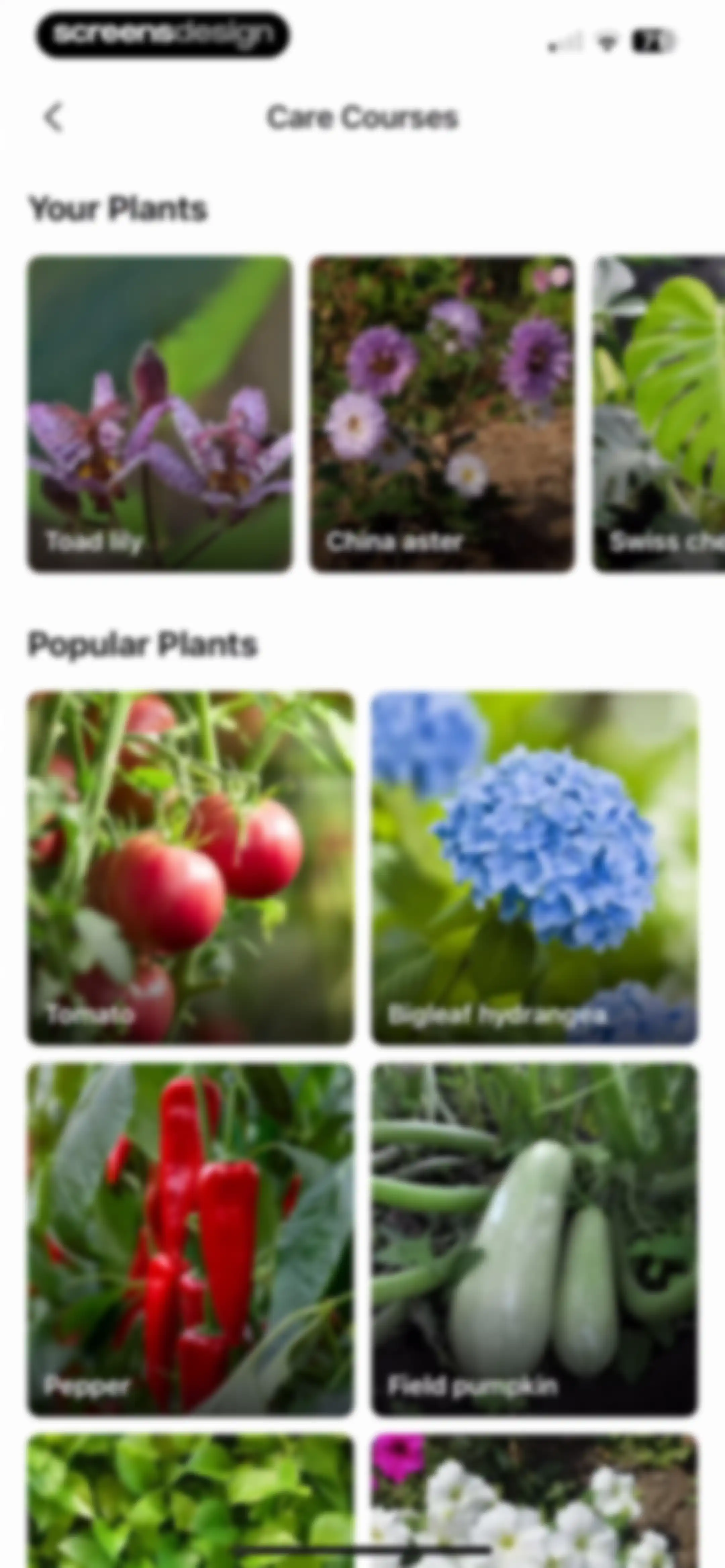 Plant Parent: Plant Care Guide screen 178